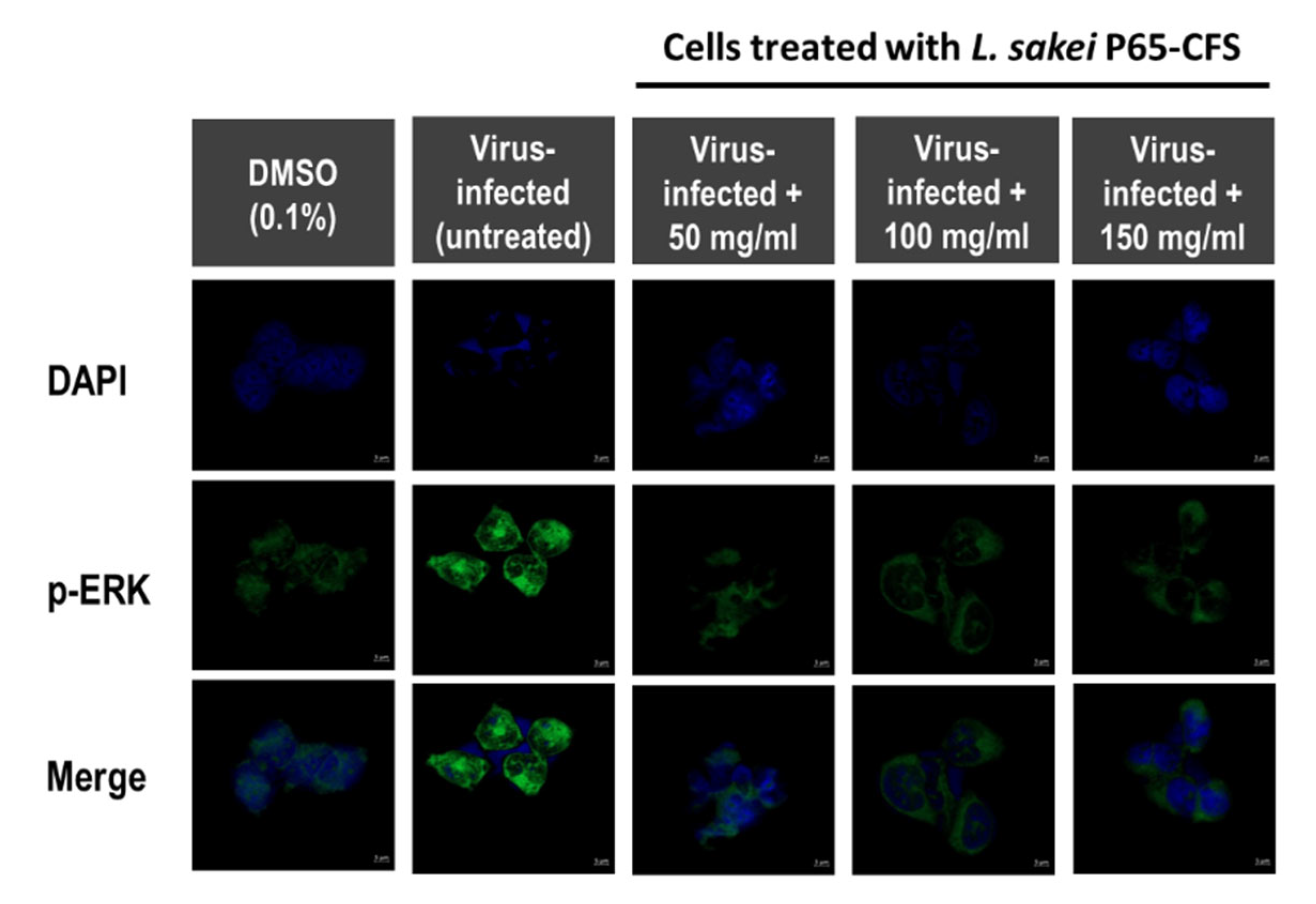 Vaccines 10 02106 g004
