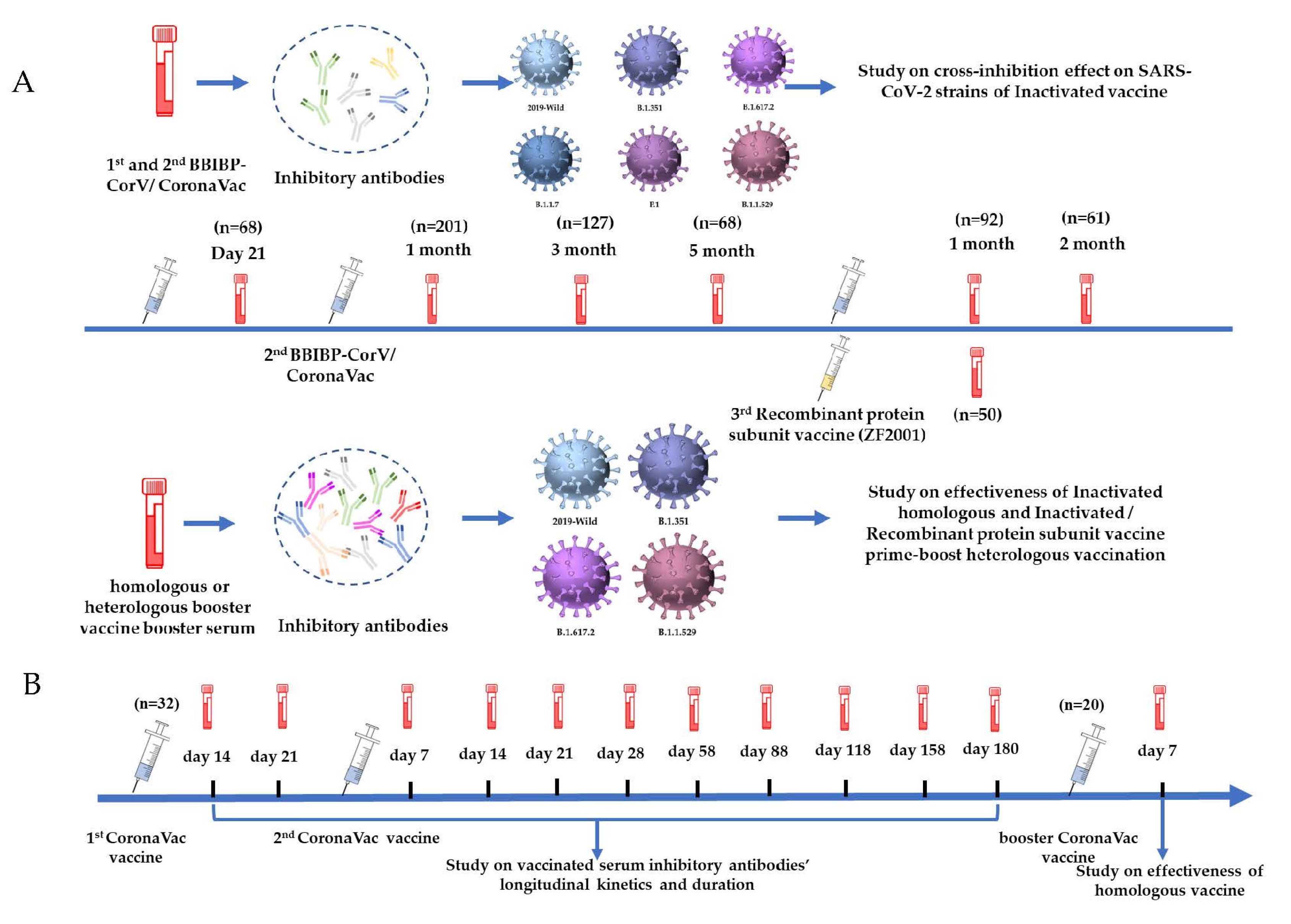 Vaccines 10 02110 g001 Vaccines 10 02110 g001