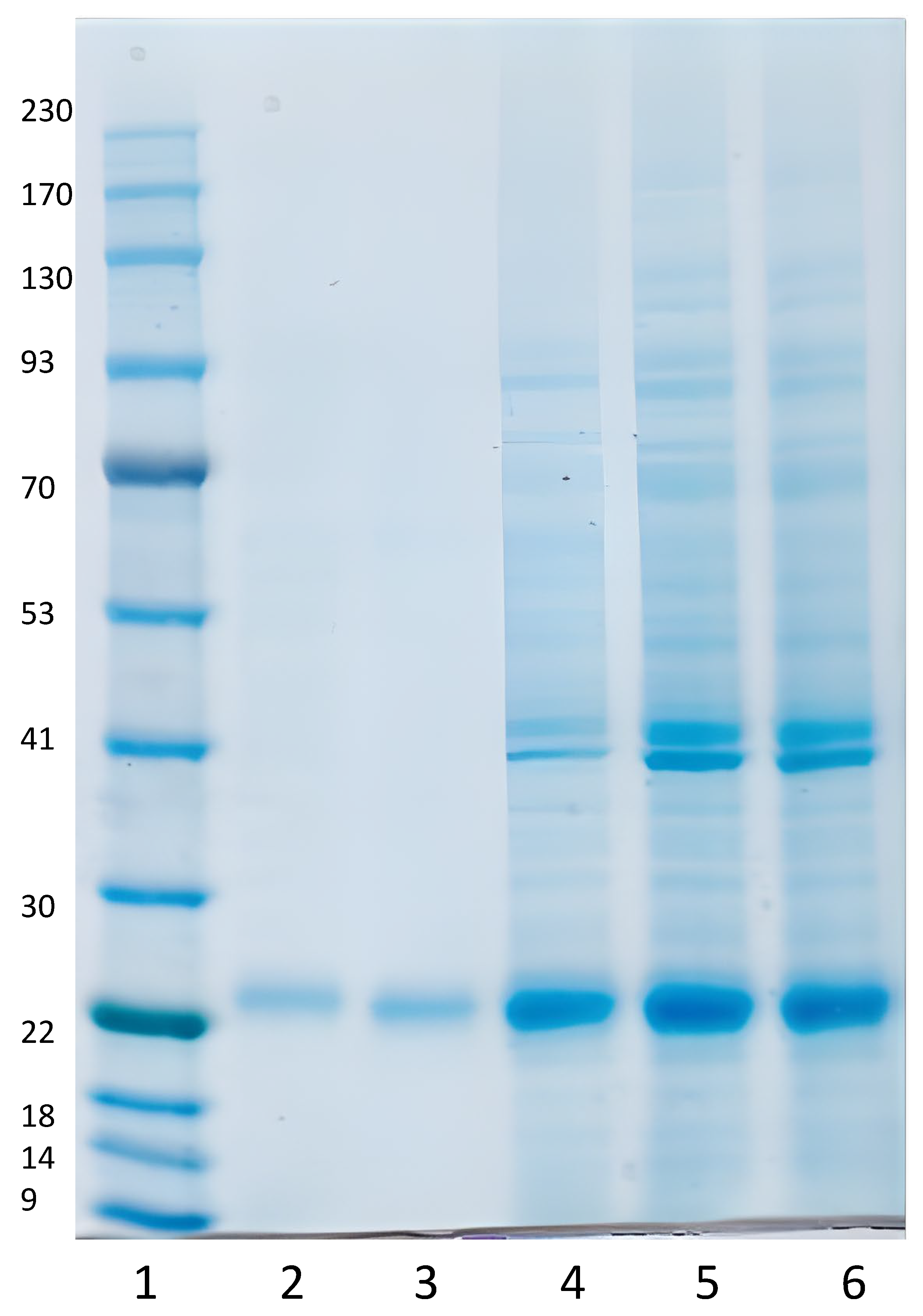 Vaccines 10 02119 g003