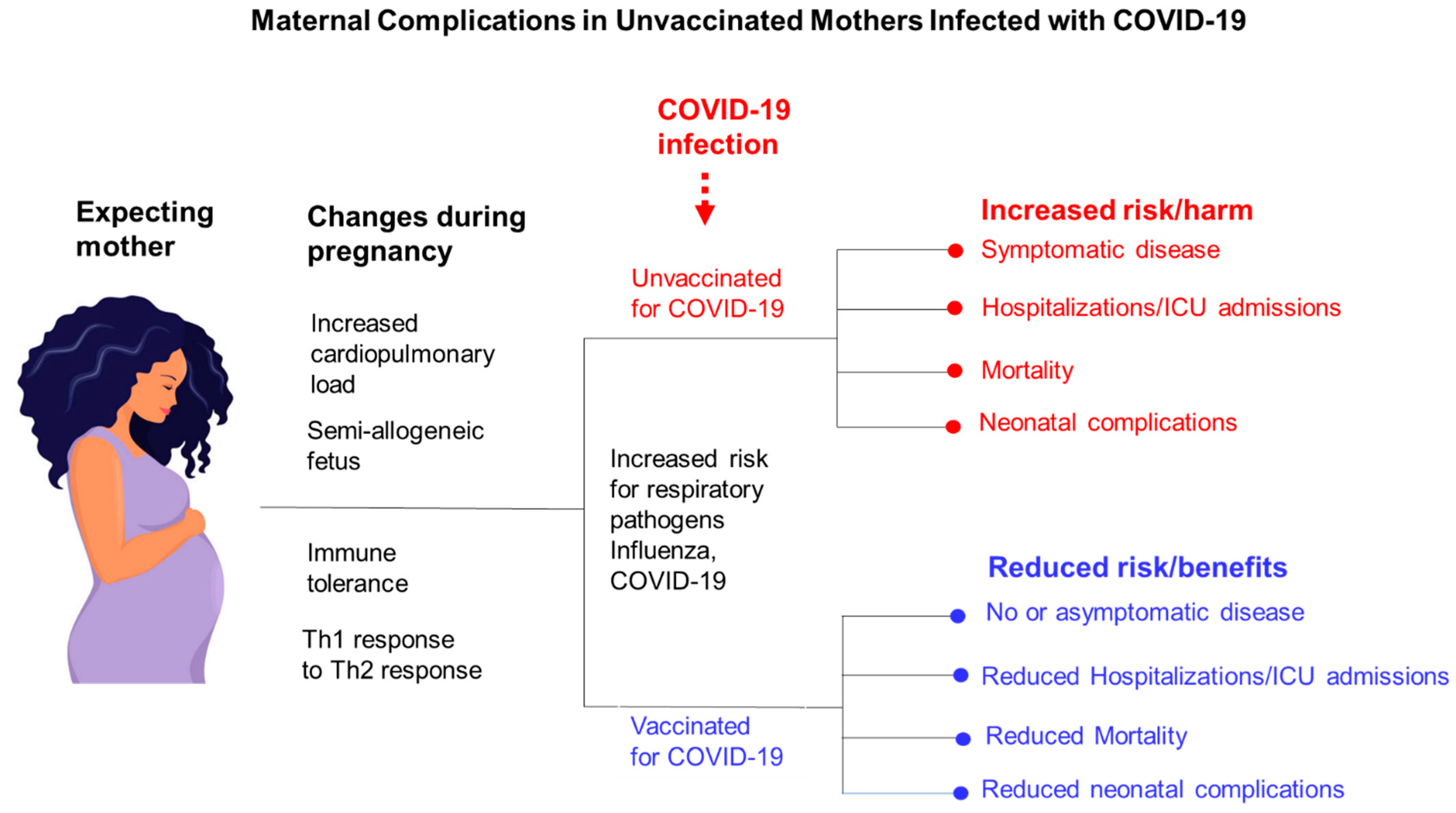Vaccines 10 02122 g002 Vaccines 10 02122 g002