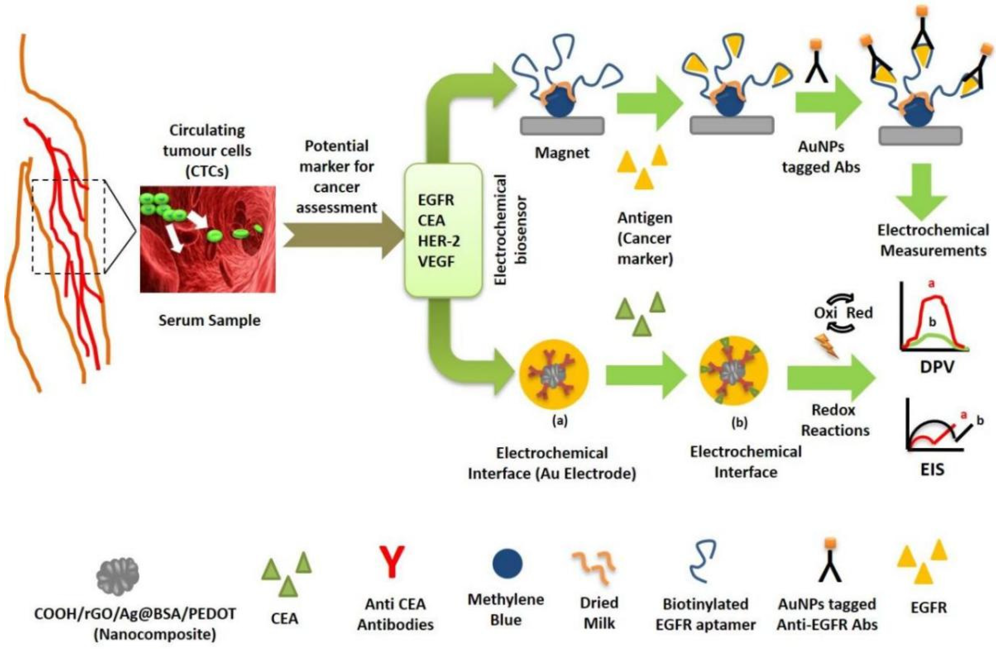 Vaccines 10 02138 g002 Vaccines 10 02138 g002