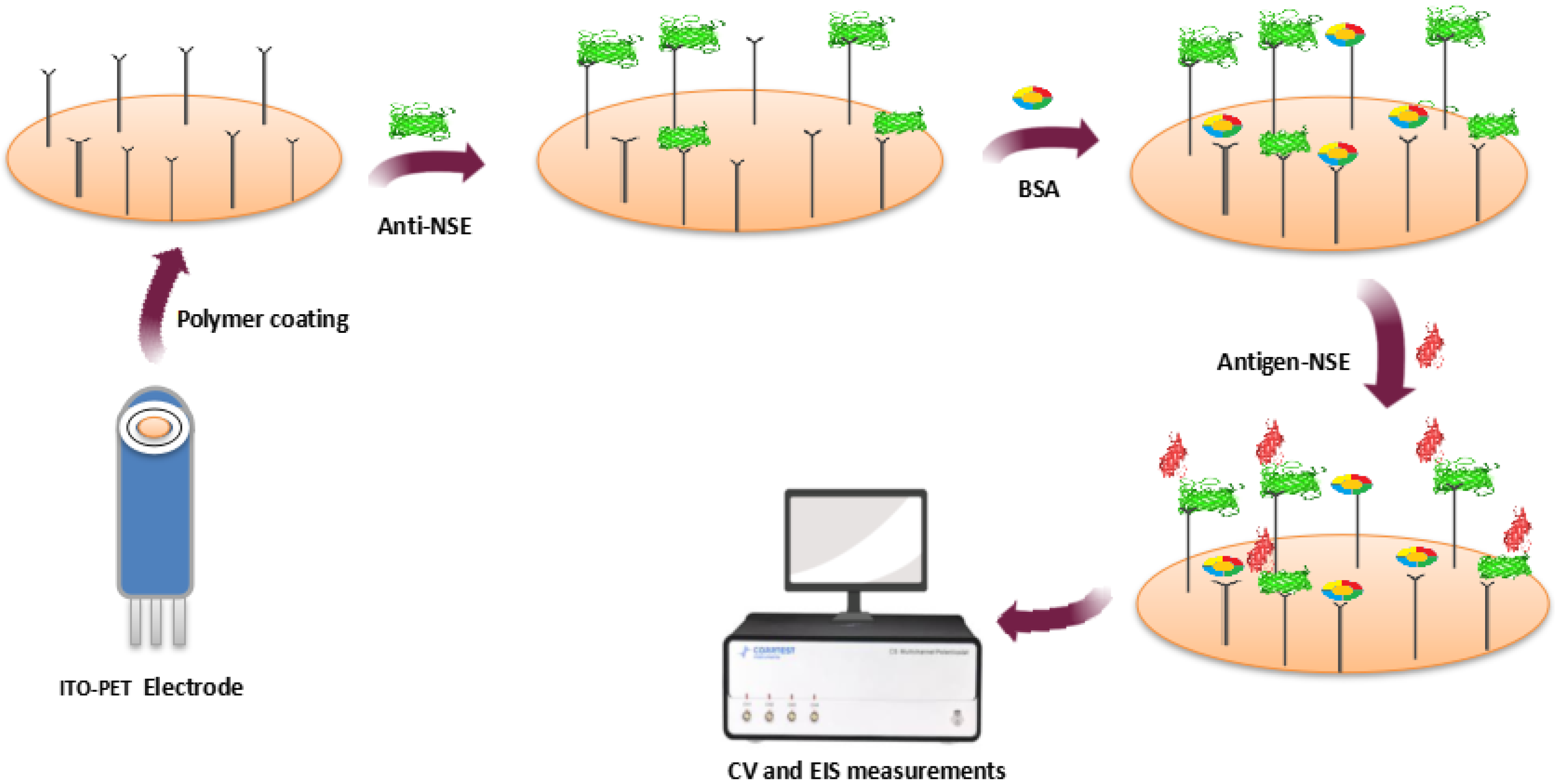 Vaccines 10 02138 g004 Vaccines 10 02138 g004