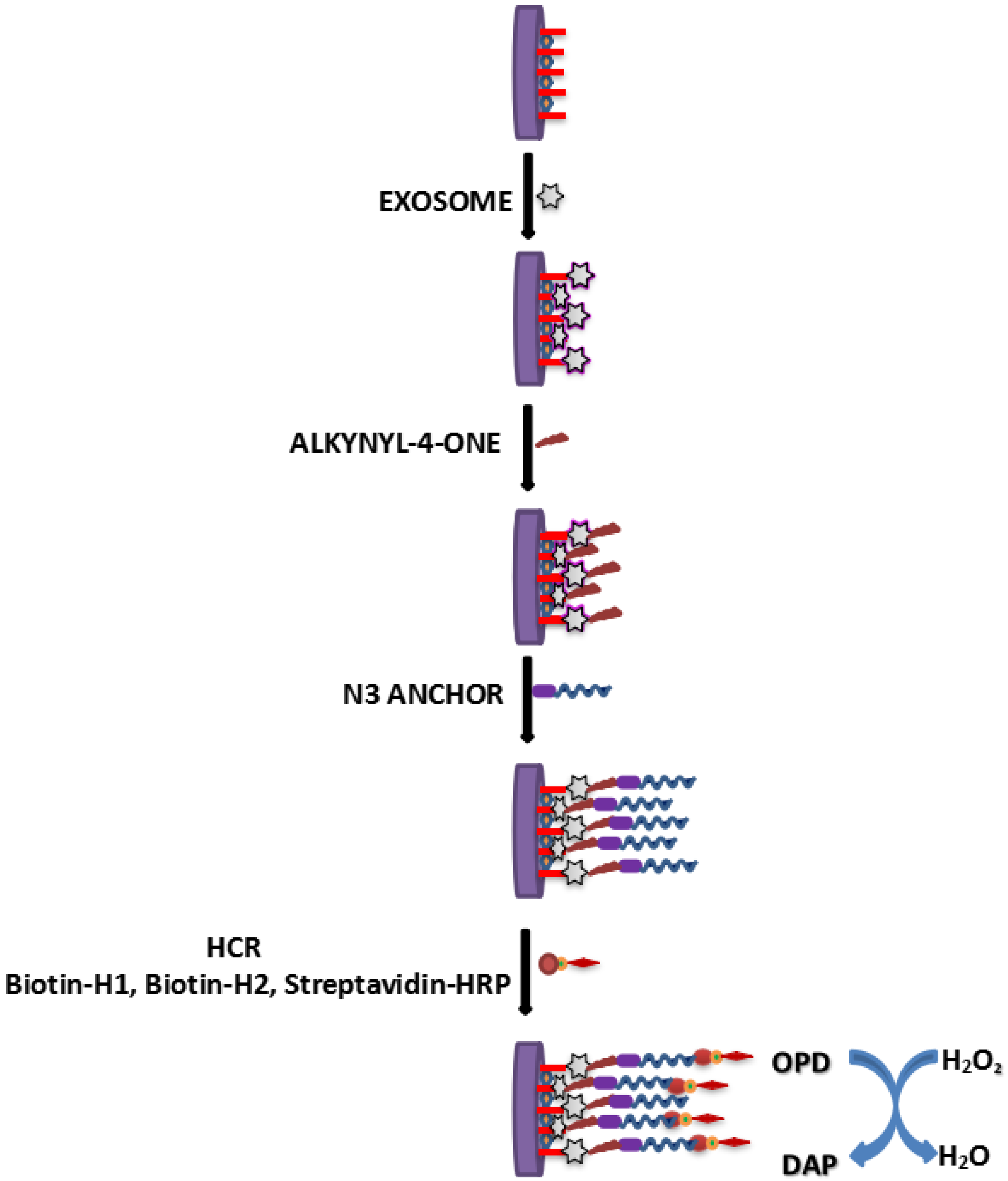 Vaccines 10 02138 g005 Vaccines 10 02138 g005