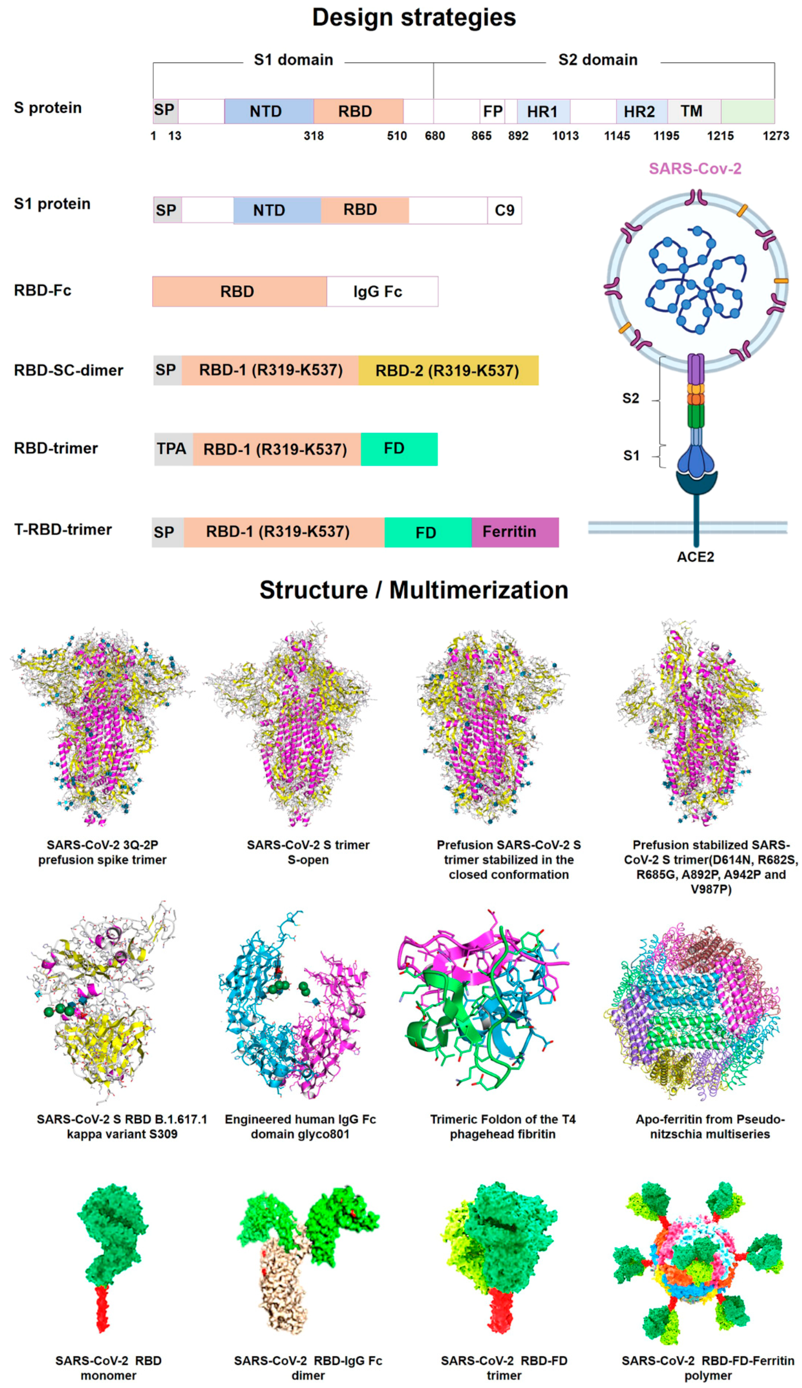Vaccines 10 02150 g003 Vaccines 10 02150 g003