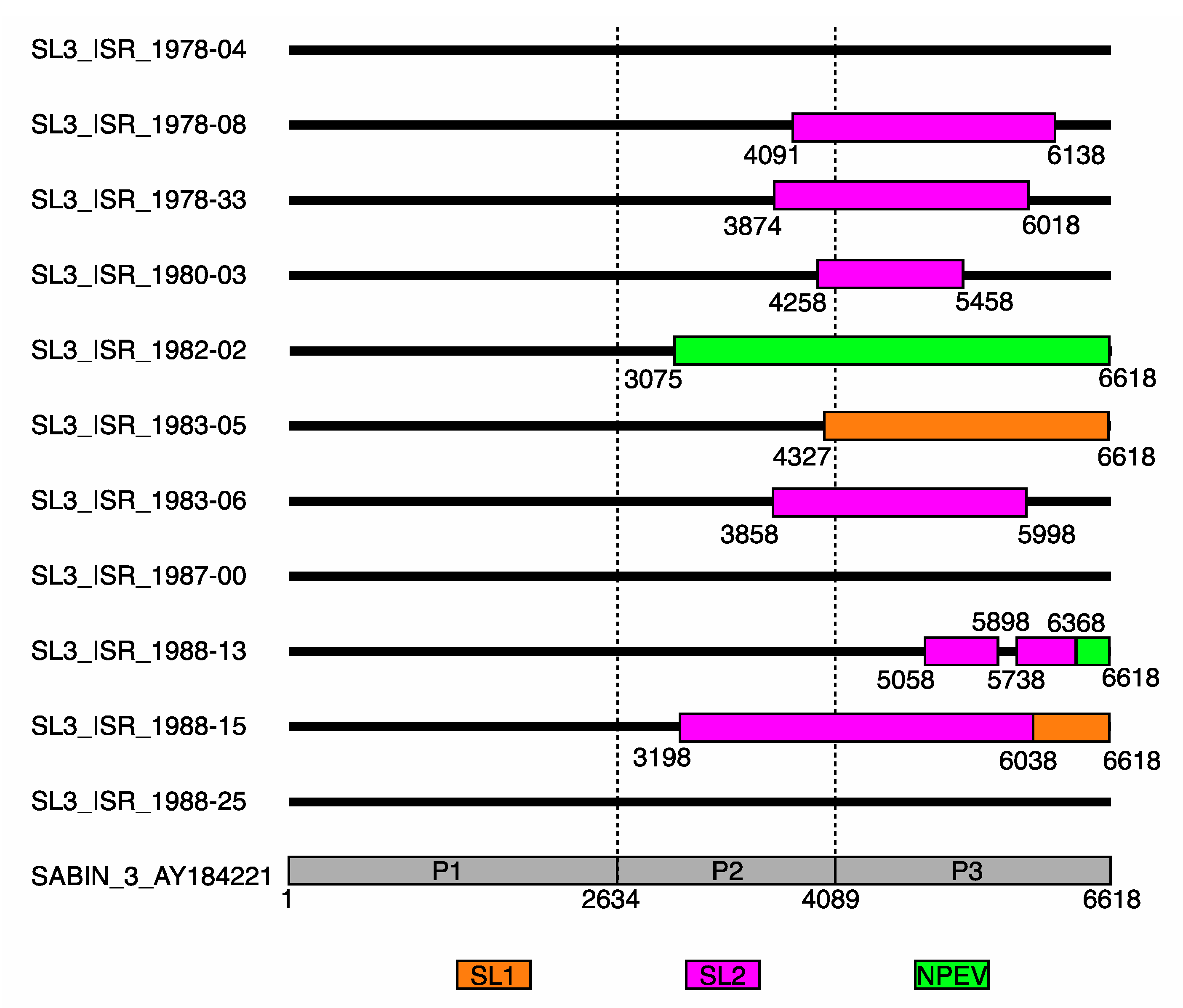 Vaccines 10 02154 g002 Vaccines 10 02154 g002