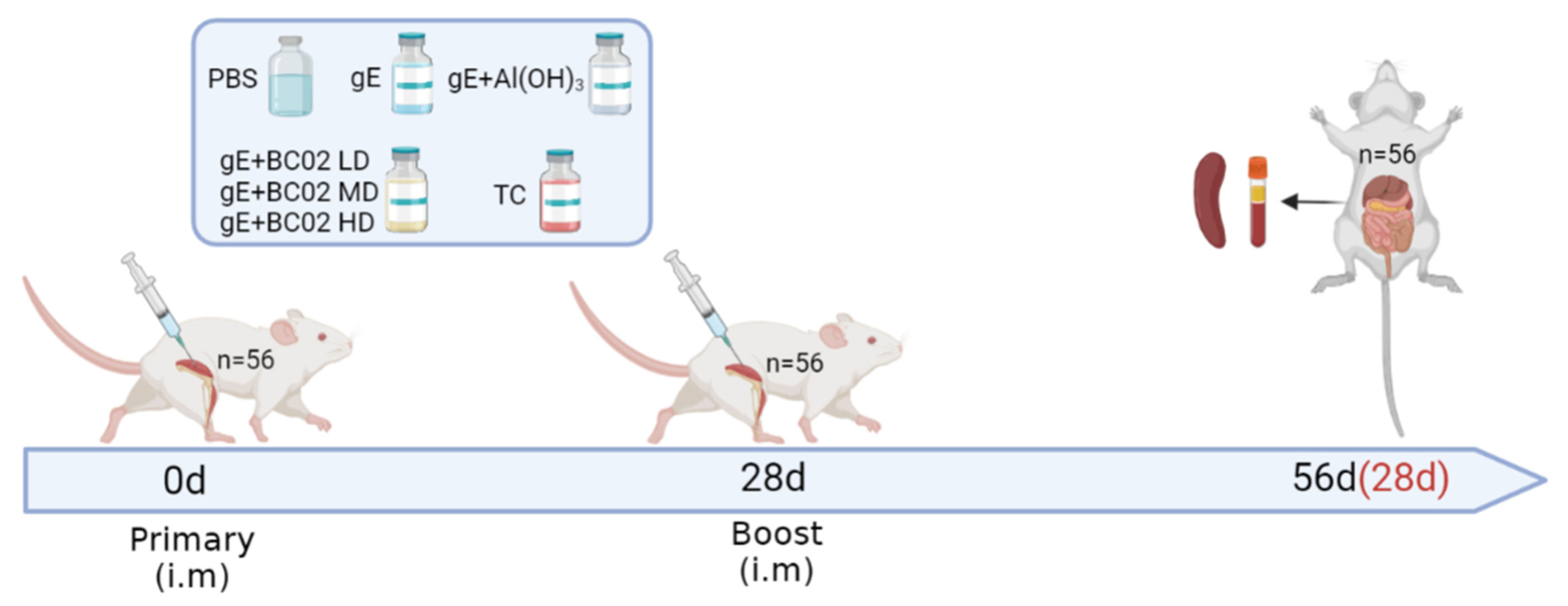 Vaccines 10 02155 g001 Vaccines 10 02155 g001