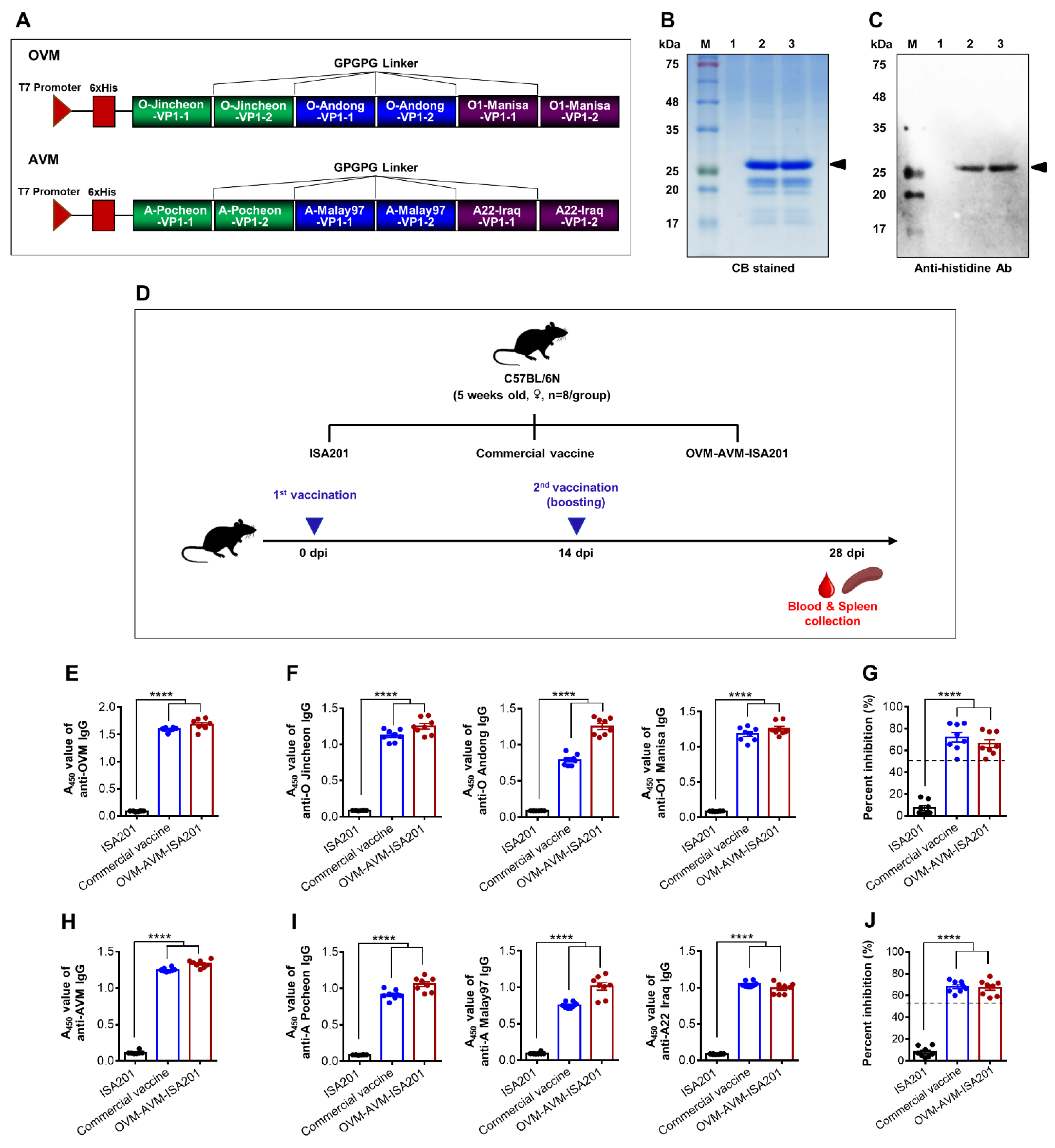 Vaccines 10 02181 g001 Vaccines 10 02181 g001