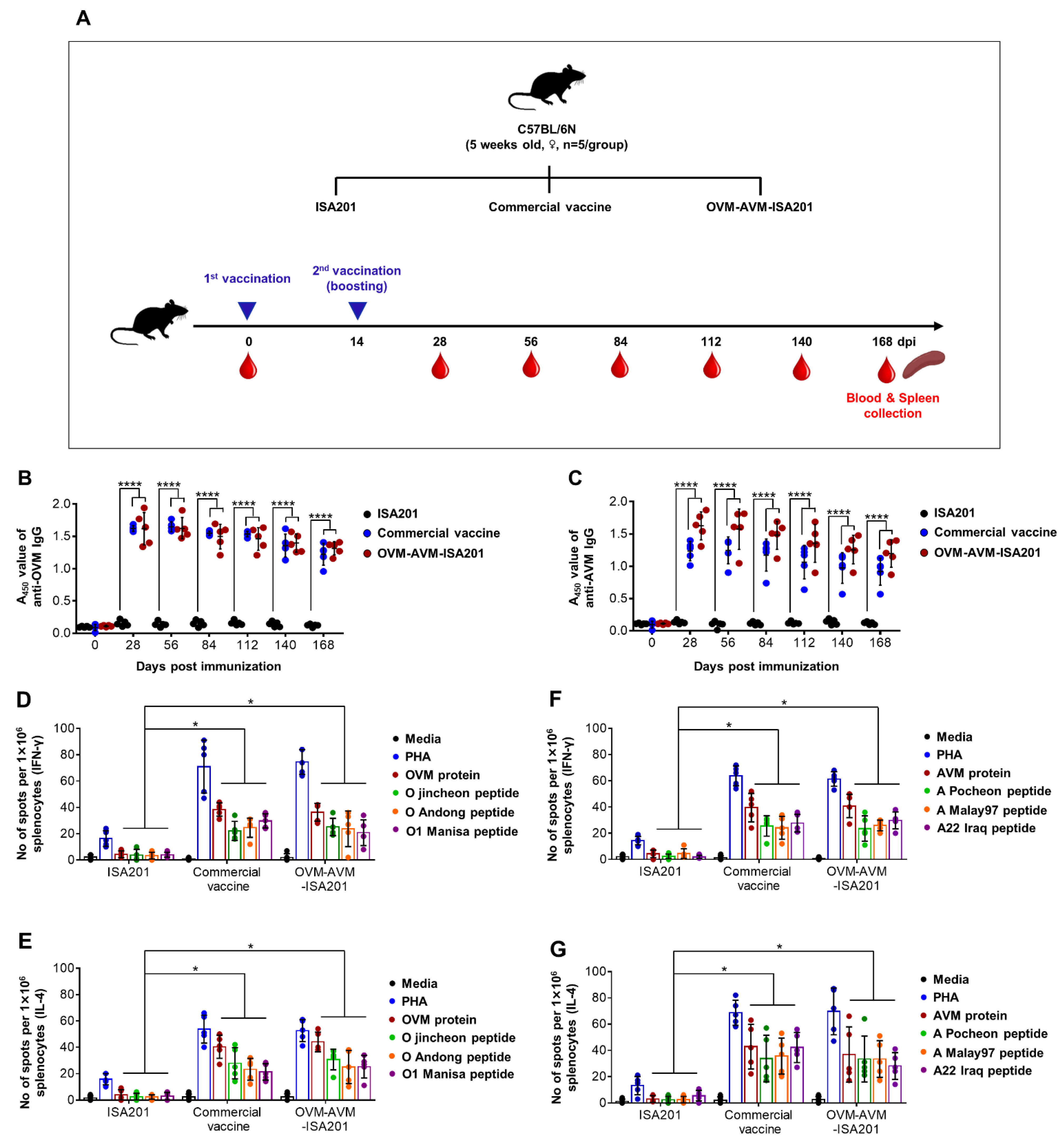 Vaccines 10 02181 g004 Vaccines 10 02181 g004