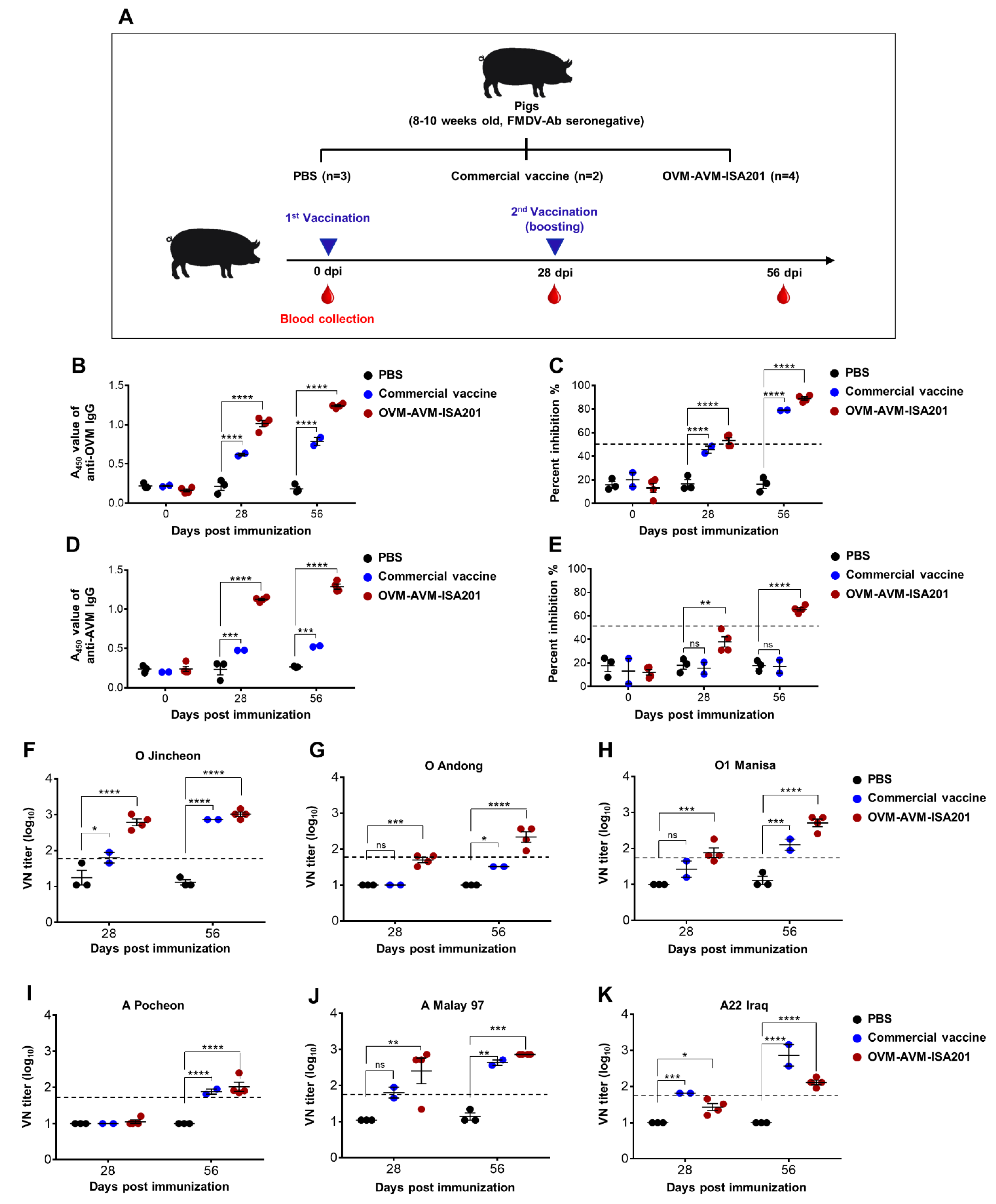 Vaccines 10 02181 g005 Vaccines 10 02181 g005