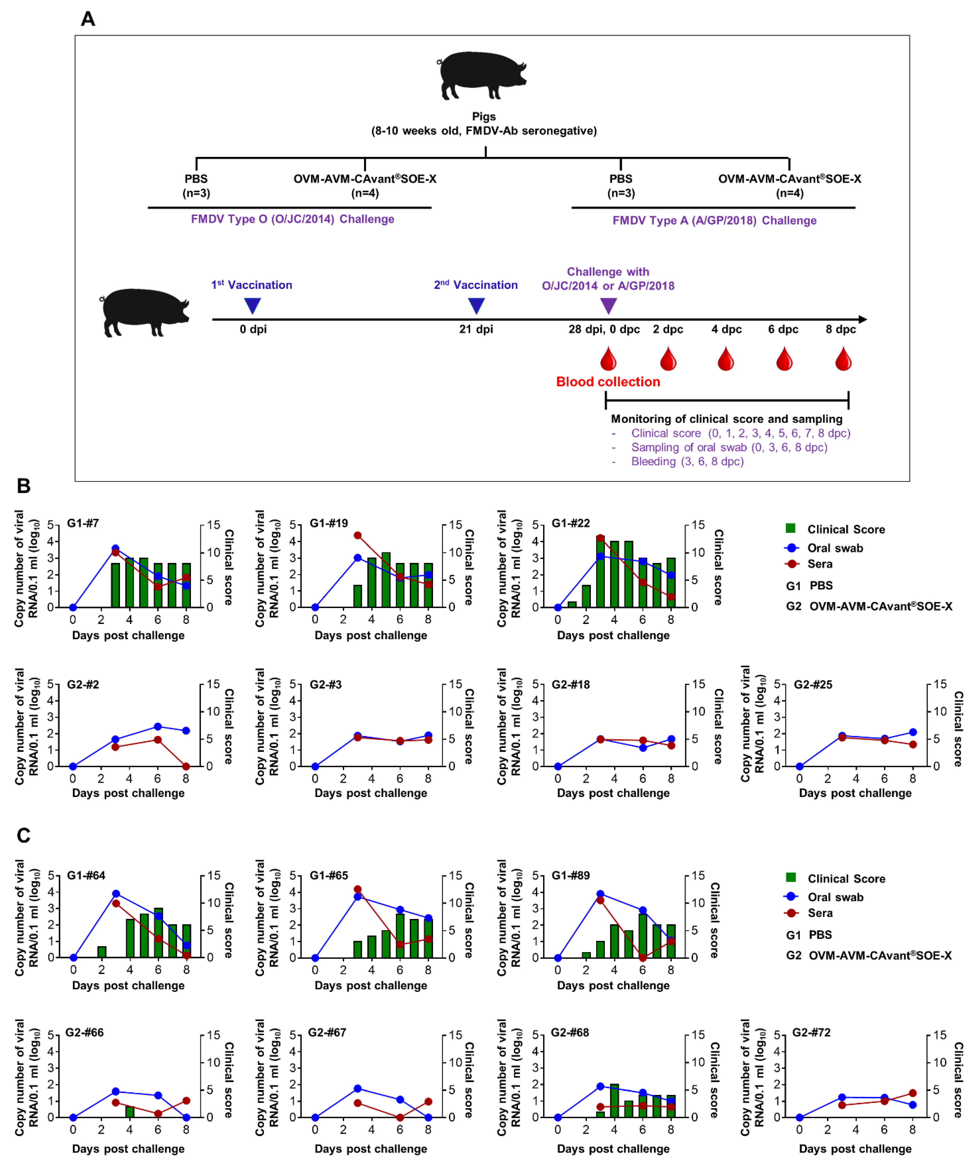 Vaccines 10 02181 g006 Vaccines 10 02181 g006