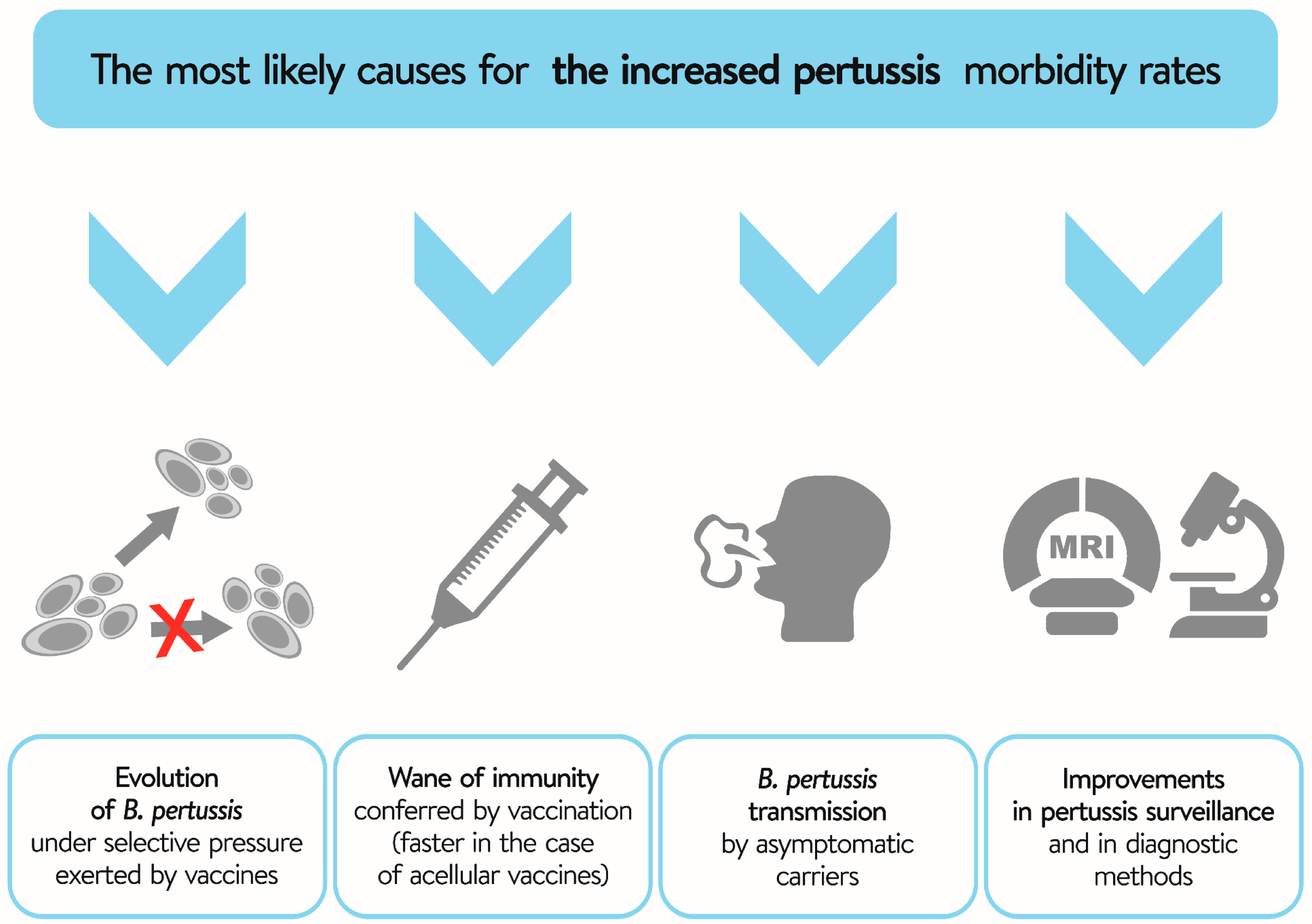 Vaccines Free FullText Evaluation of WholeCell and Acellular