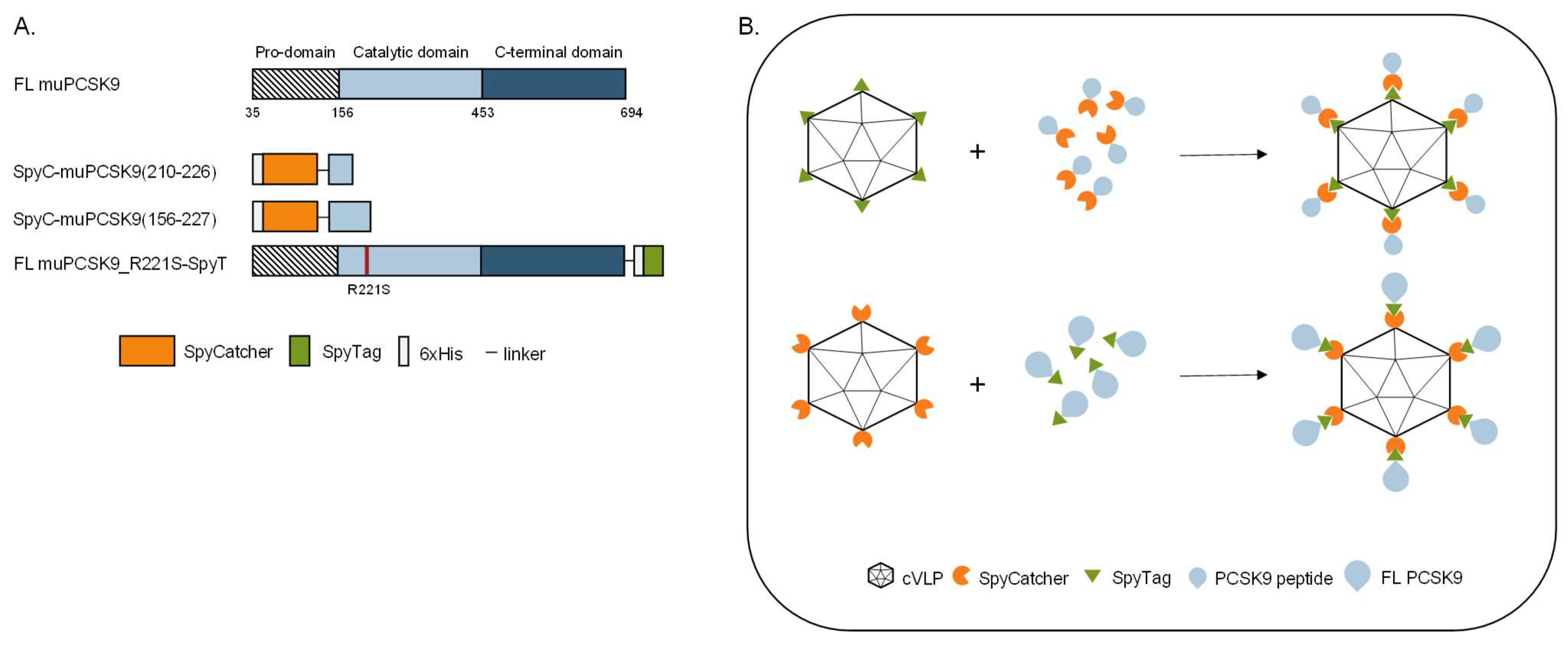 Vaccines 11 00002 g001 Vaccines 11 00002 g001
