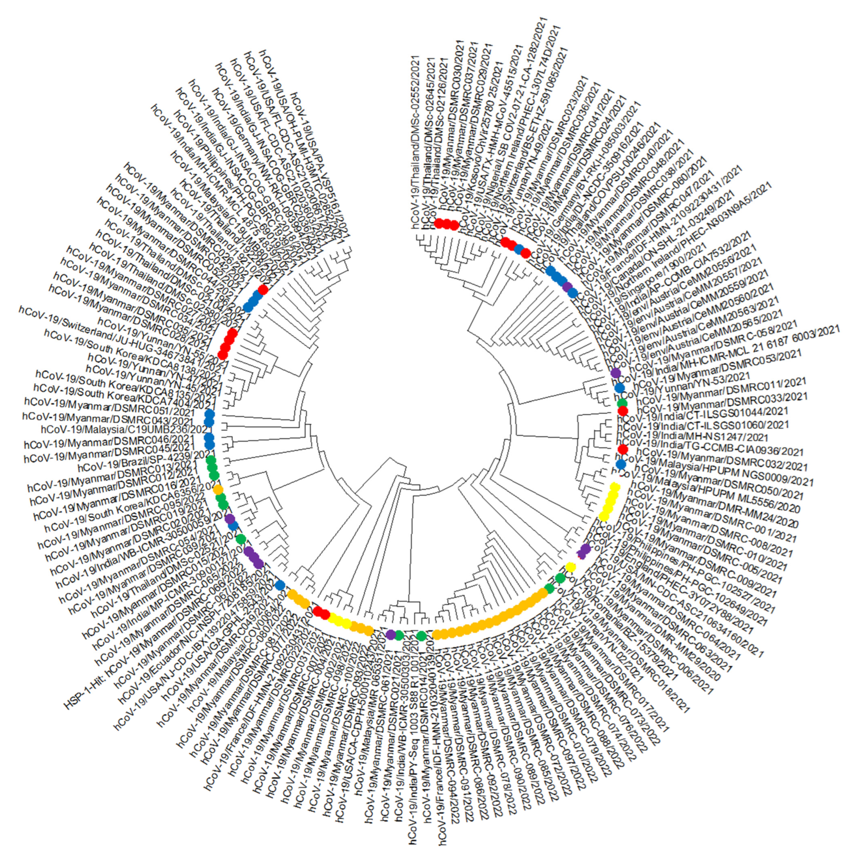 Vaccines 11 00006 g001 Vaccines 11 00006 g001