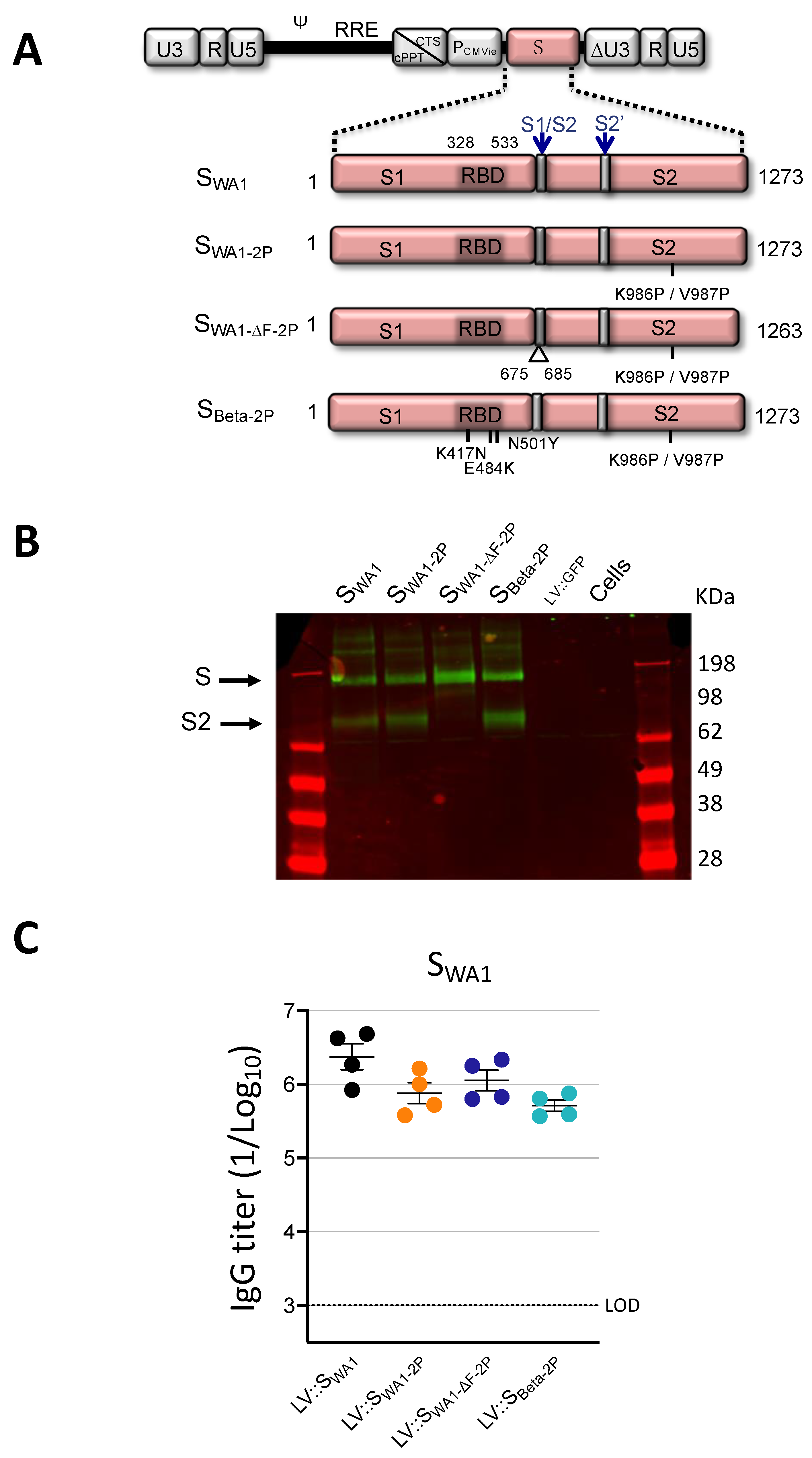 Vaccines 11 00012 g001 Vaccines 11 00012 g001