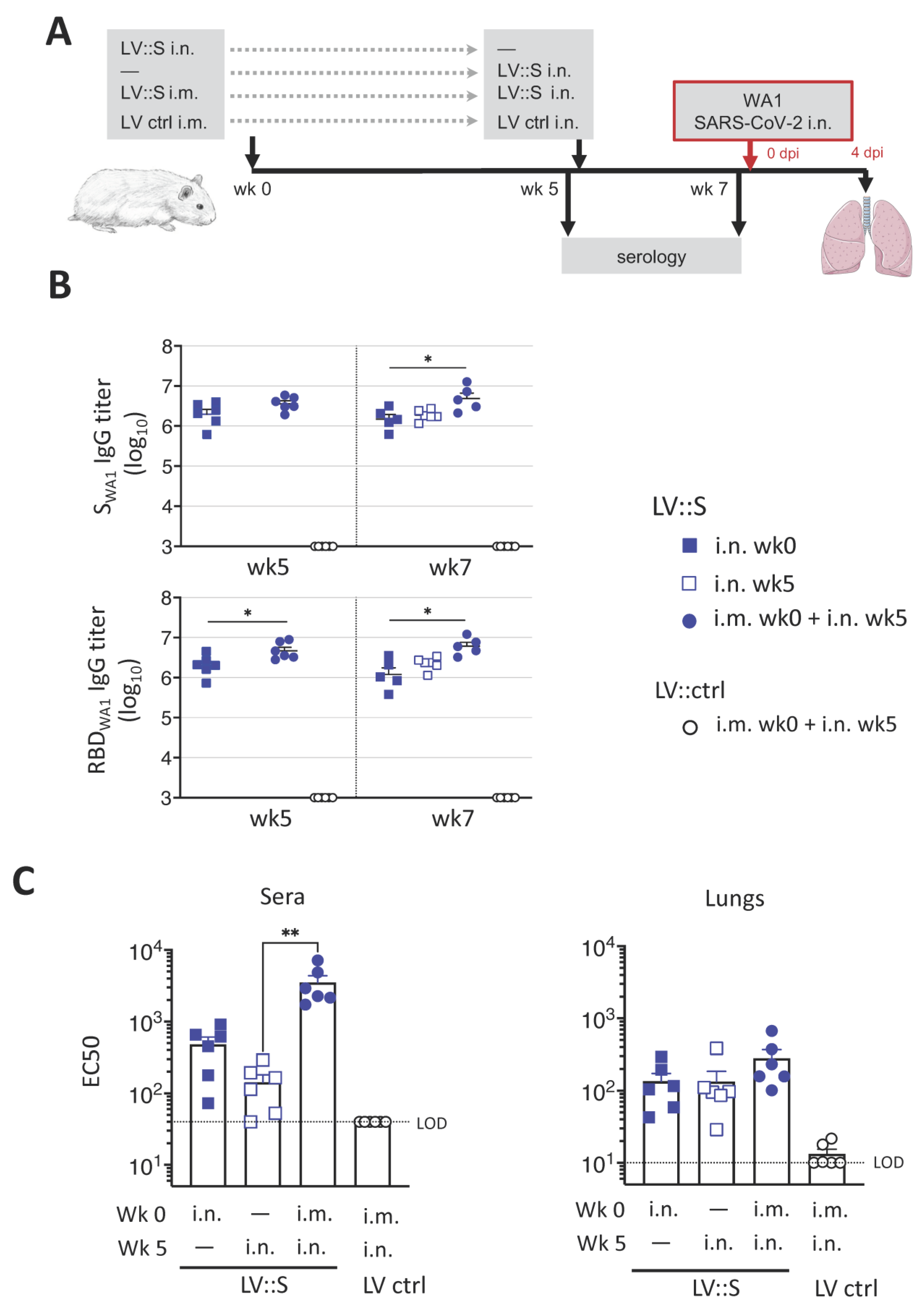Vaccines 11 00012 g002 Vaccines 11 00012 g002