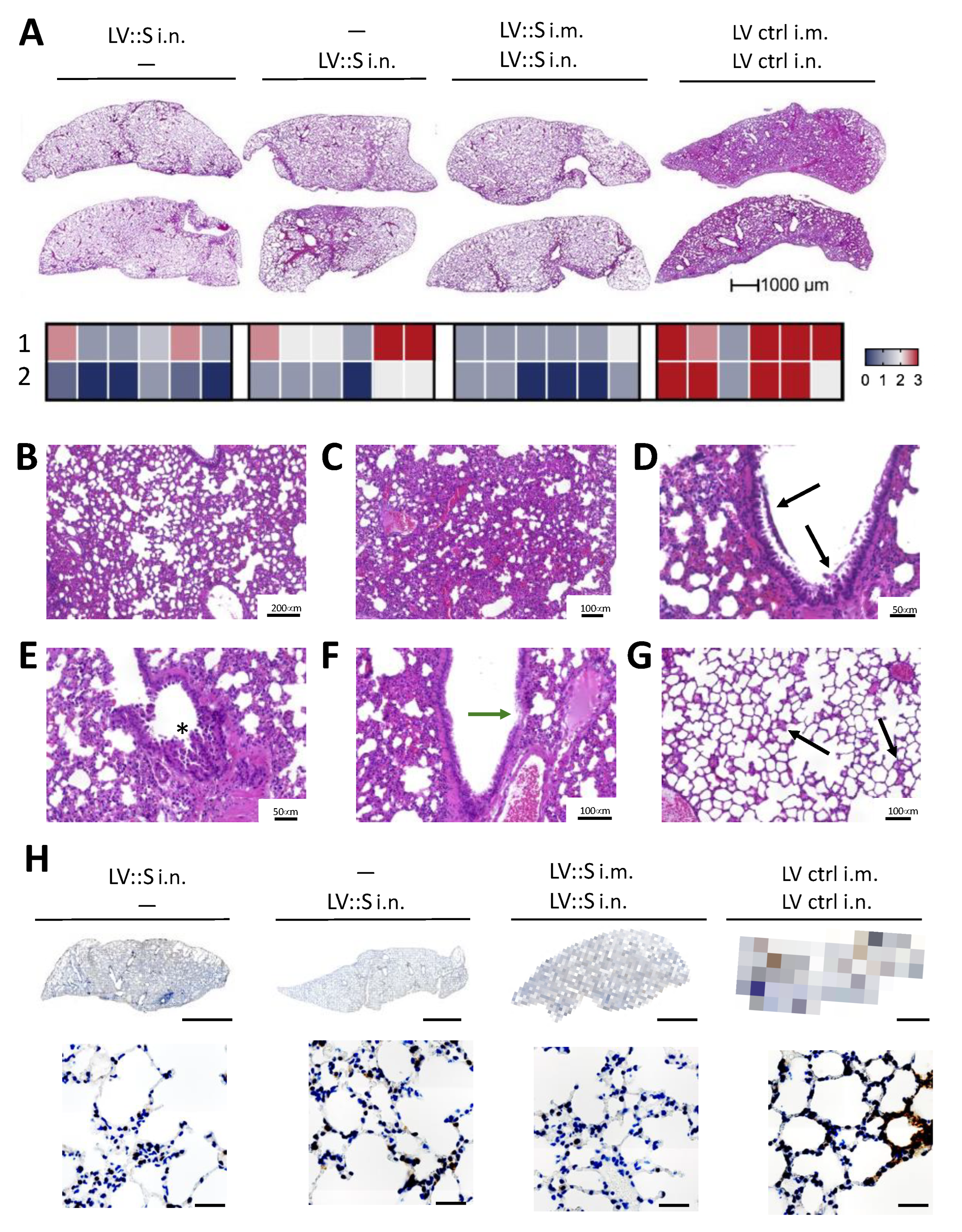 Vaccines 11 00012 g004 Vaccines 11 00012 g004