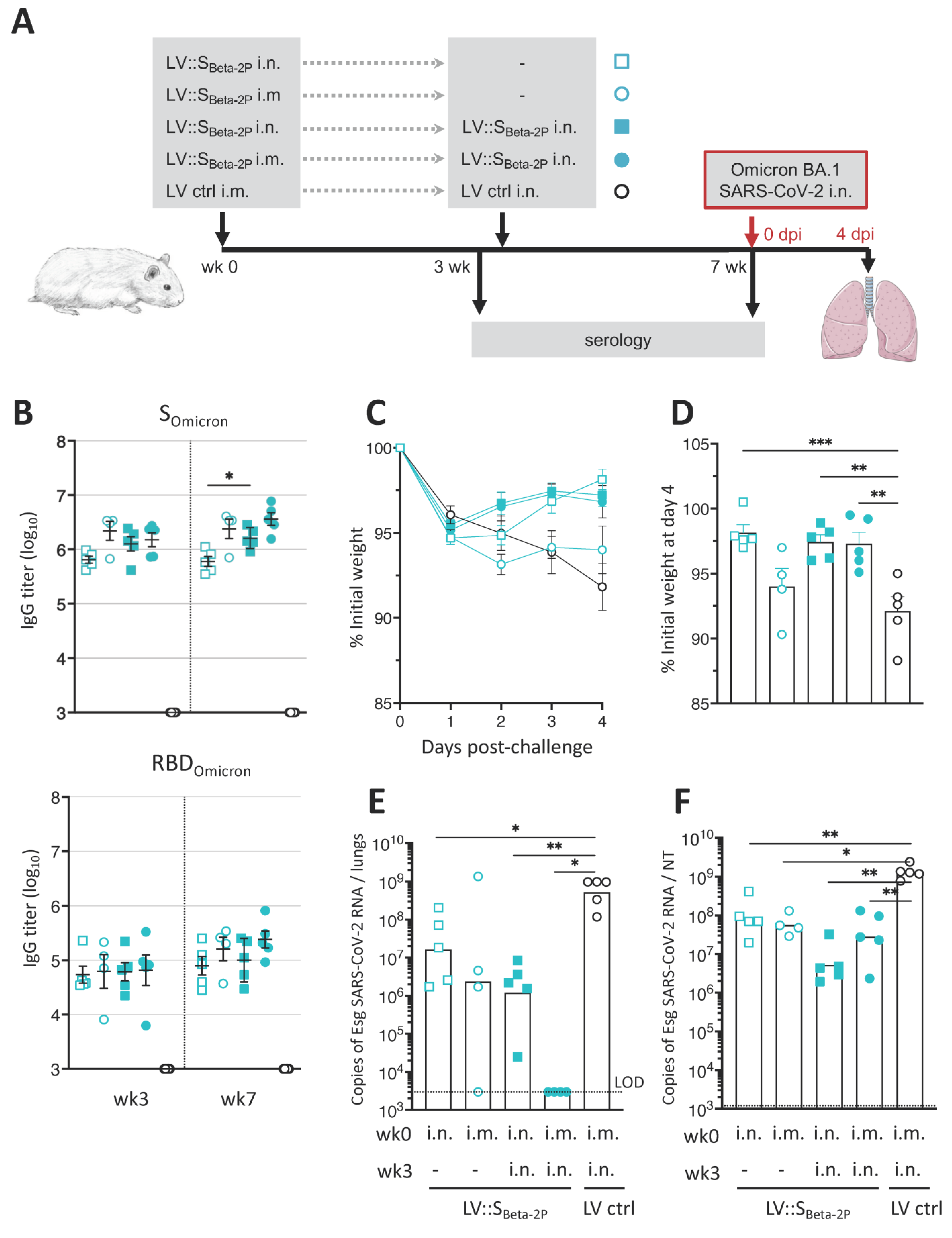 Vaccines 11 00012 g005 Vaccines 11 00012 g005