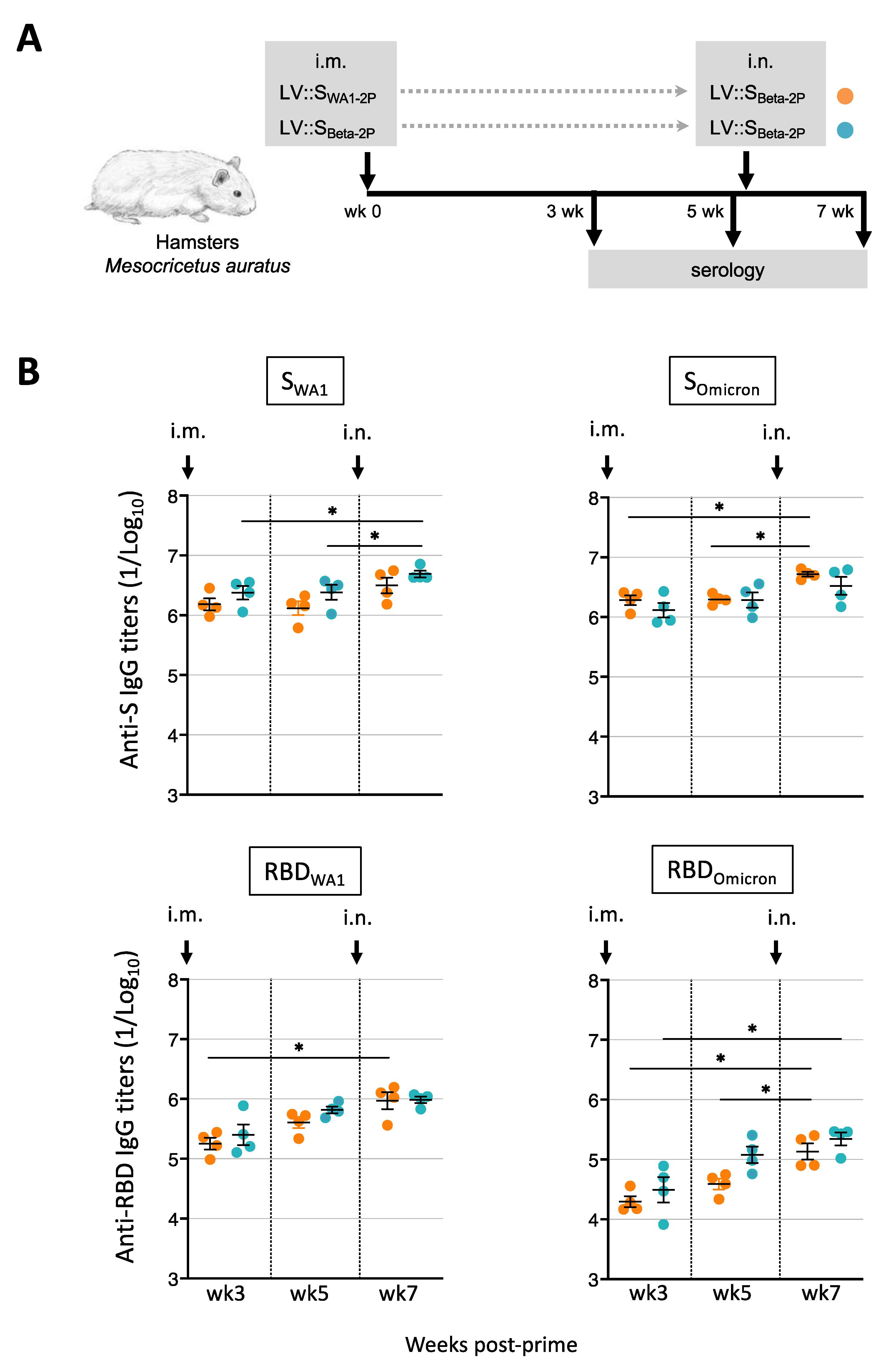 Vaccines 11 00012 g007 Vaccines 11 00012 g007
