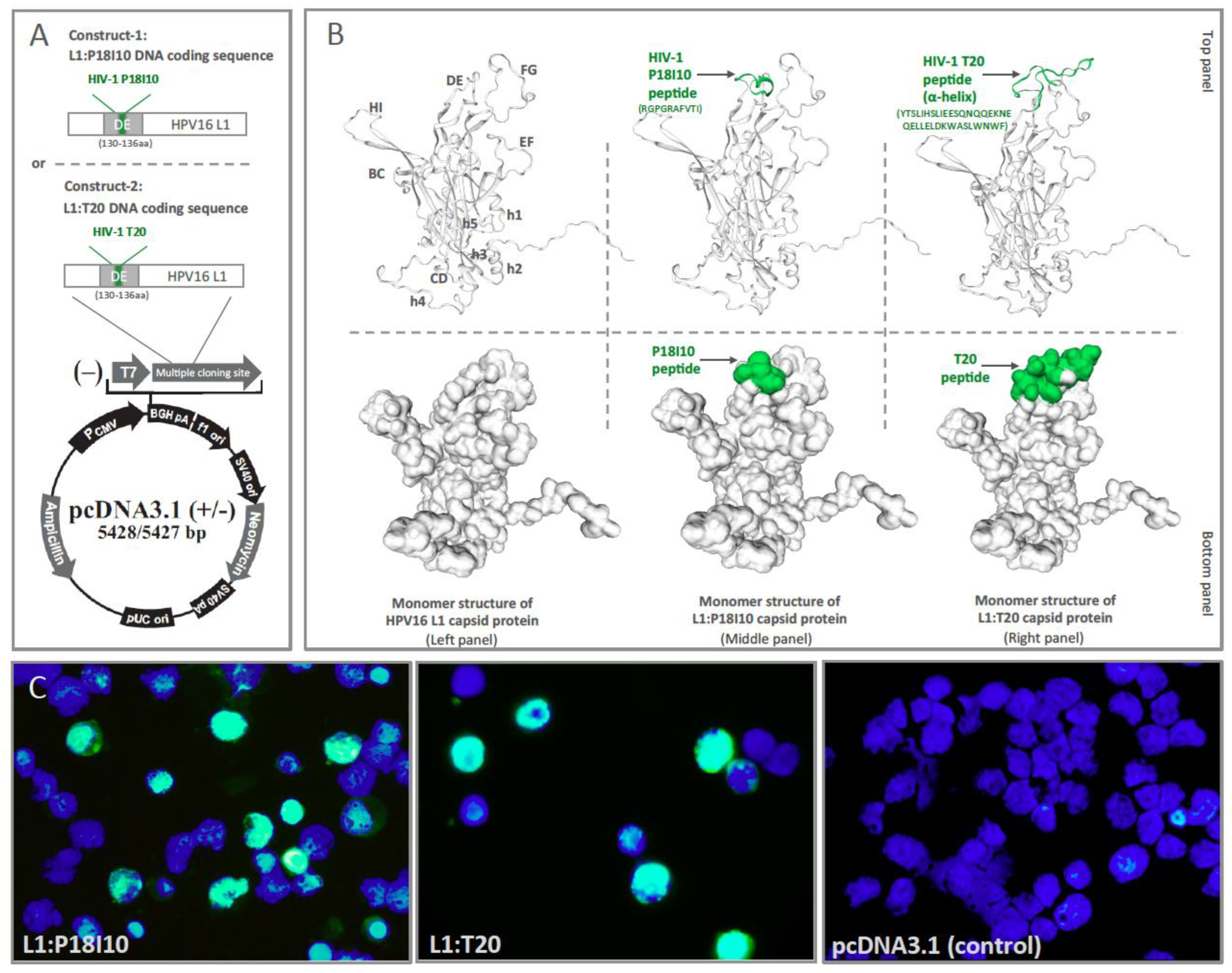 Vaccines 11 00015 g001 Vaccines 11 00015 g001