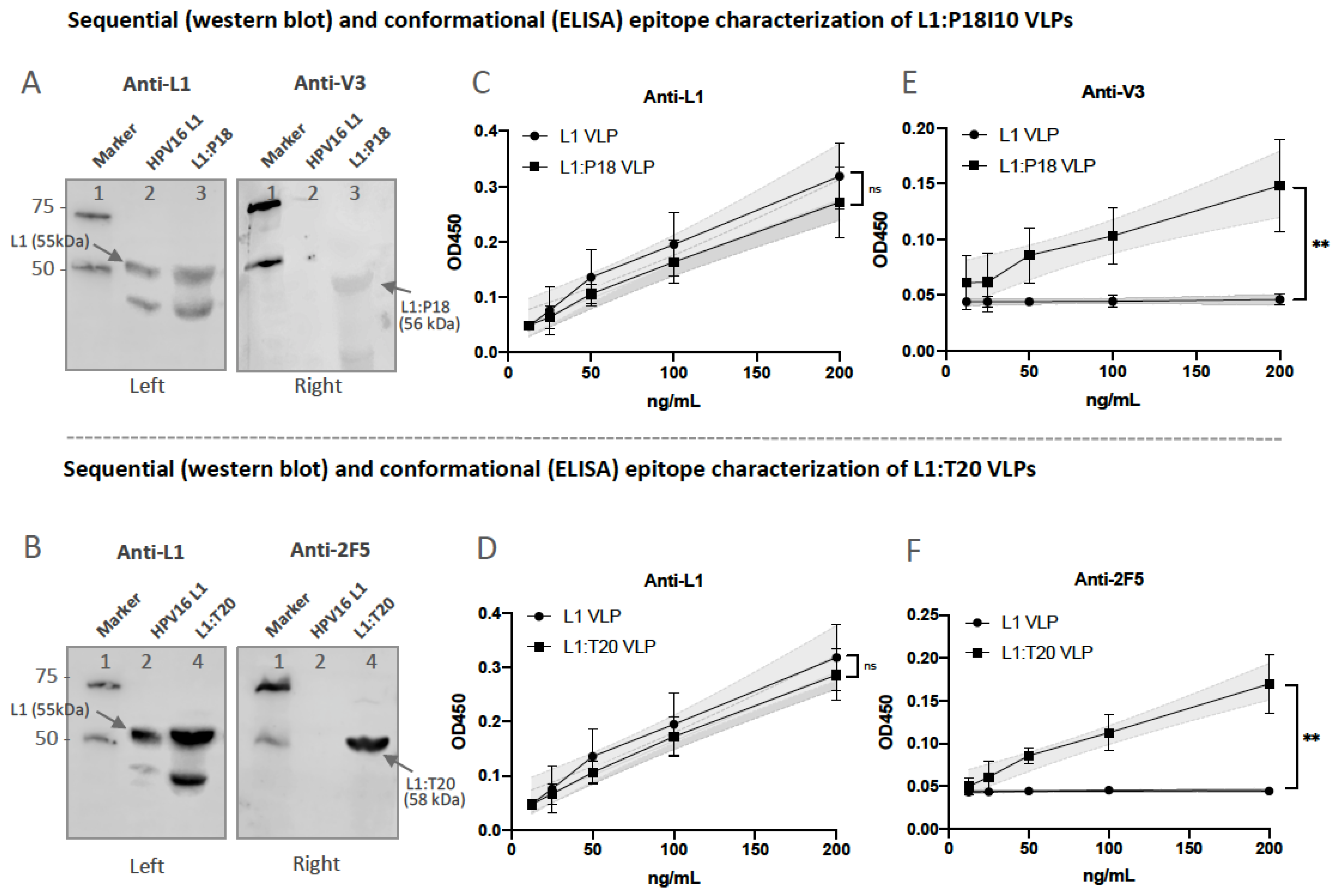 Vaccines 11 00015 g005 Vaccines 11 00015 g005