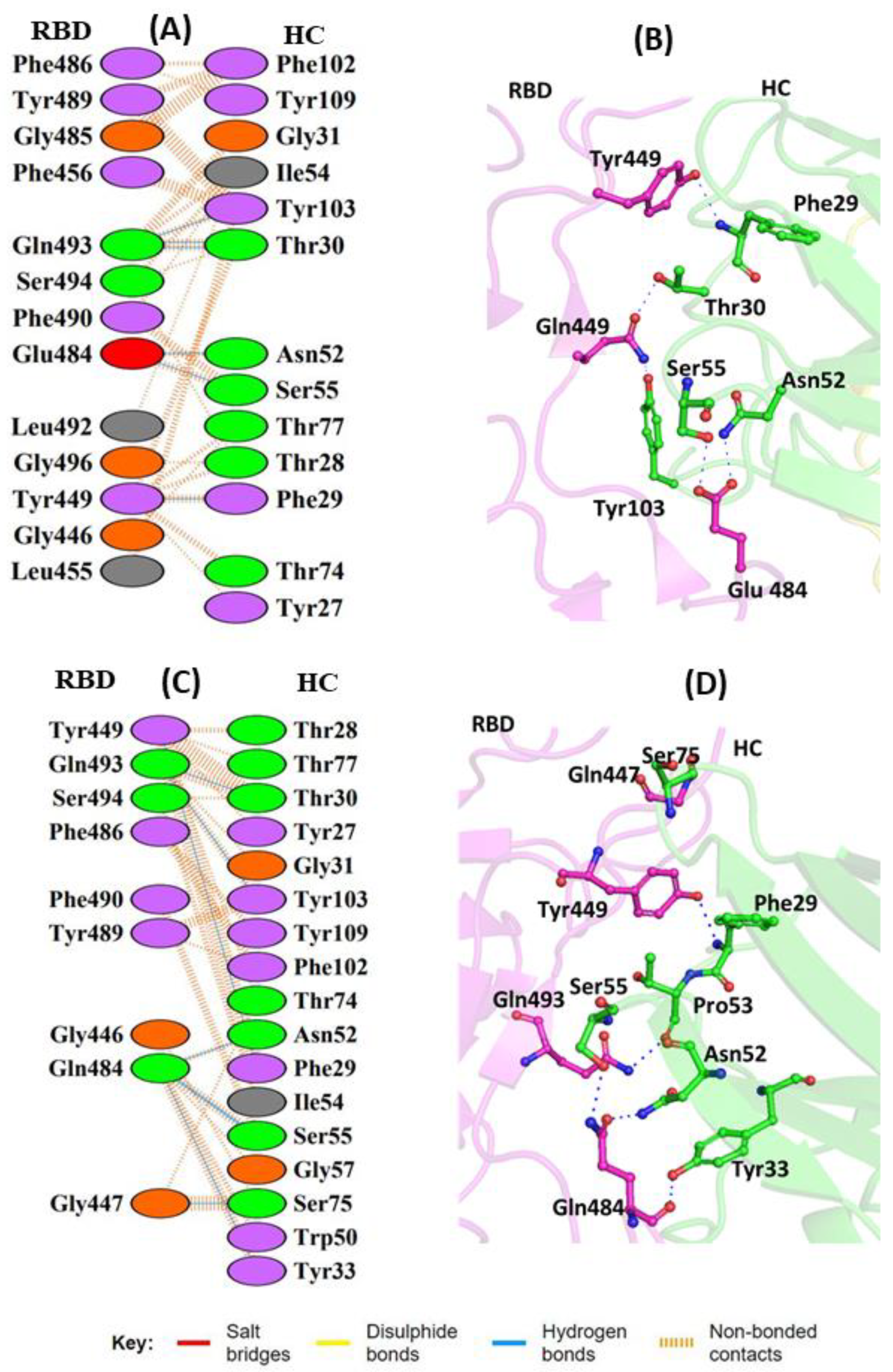 Vaccines 11 00023 g004 Vaccines 11 00023 g004