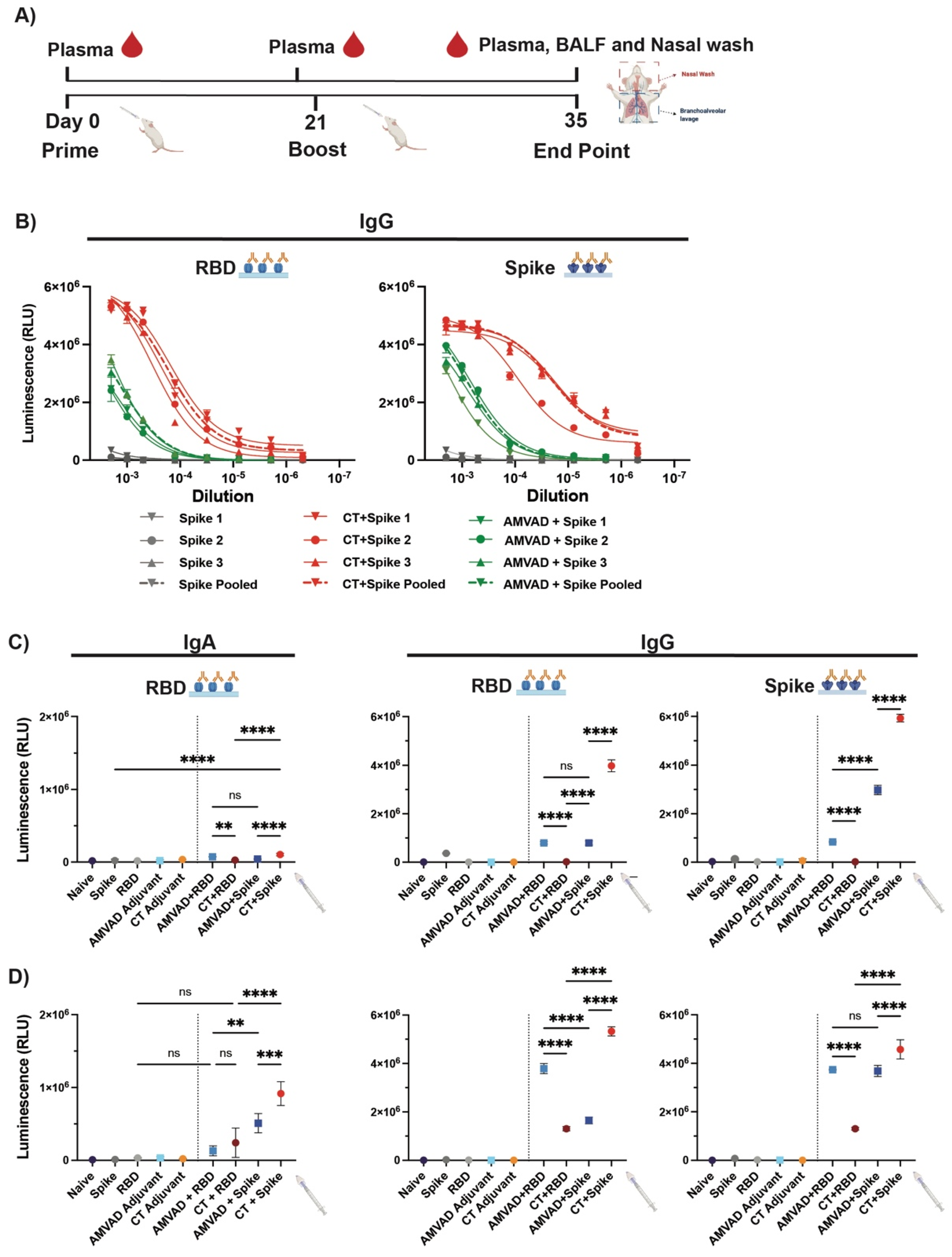 Vaccines 11 00030 g001 Vaccines 11 00030 g001