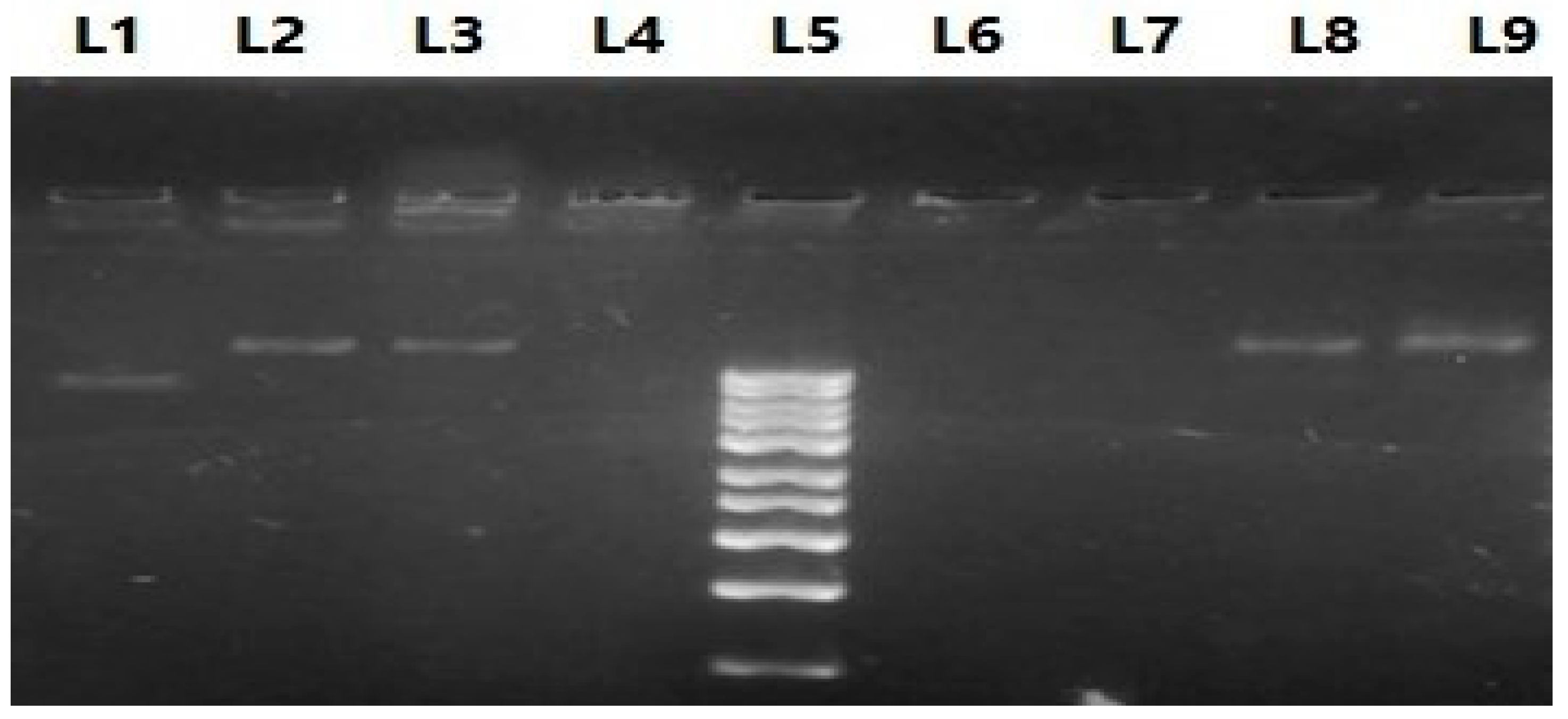 Vaccines 11 00037 g004 Vaccines 11 00037 g004