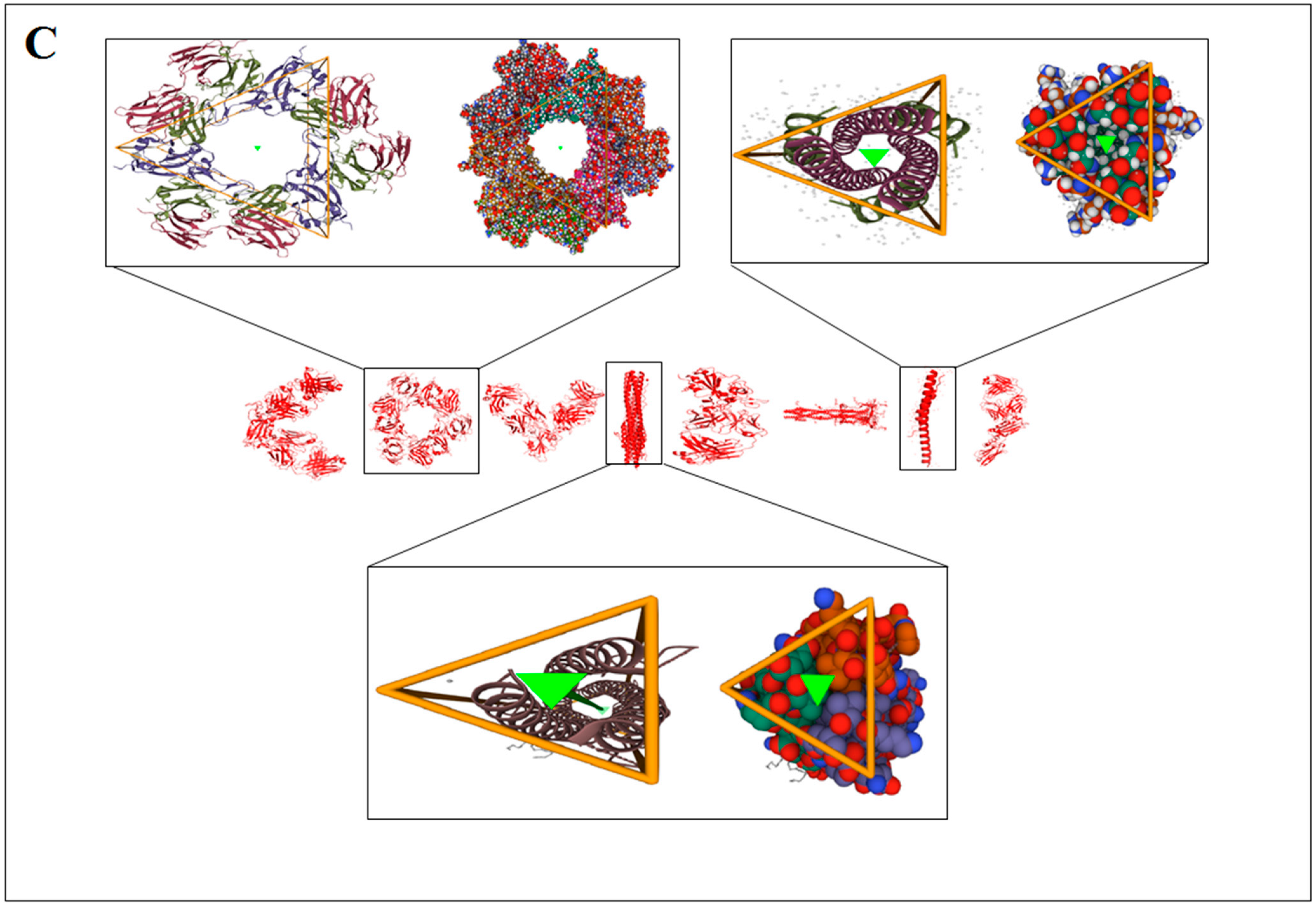 Vaccines 11 00038 g003b Vaccines 11 00038 g003b
