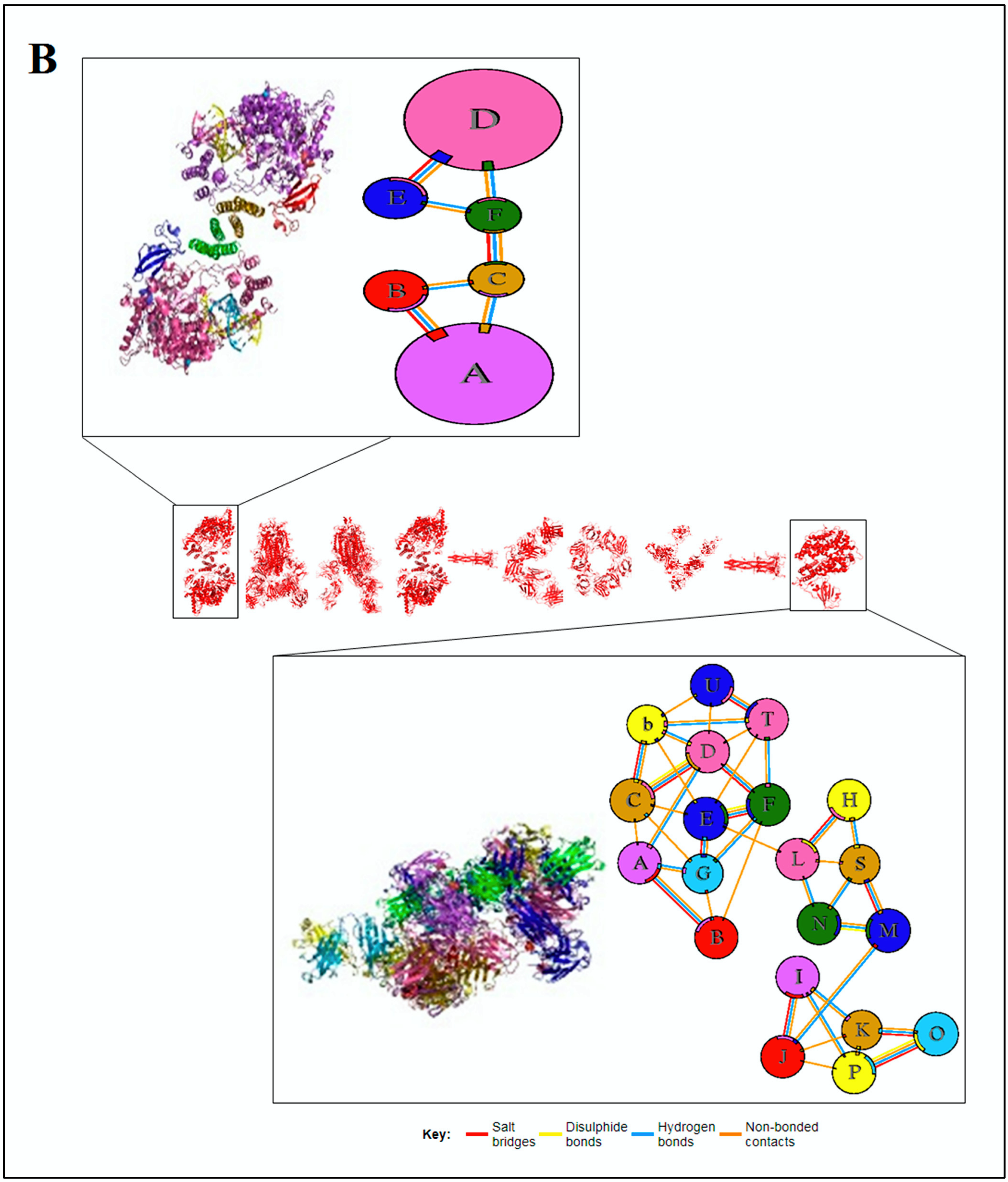 Vaccines 11 00038 g005b Vaccines 11 00038 g005b