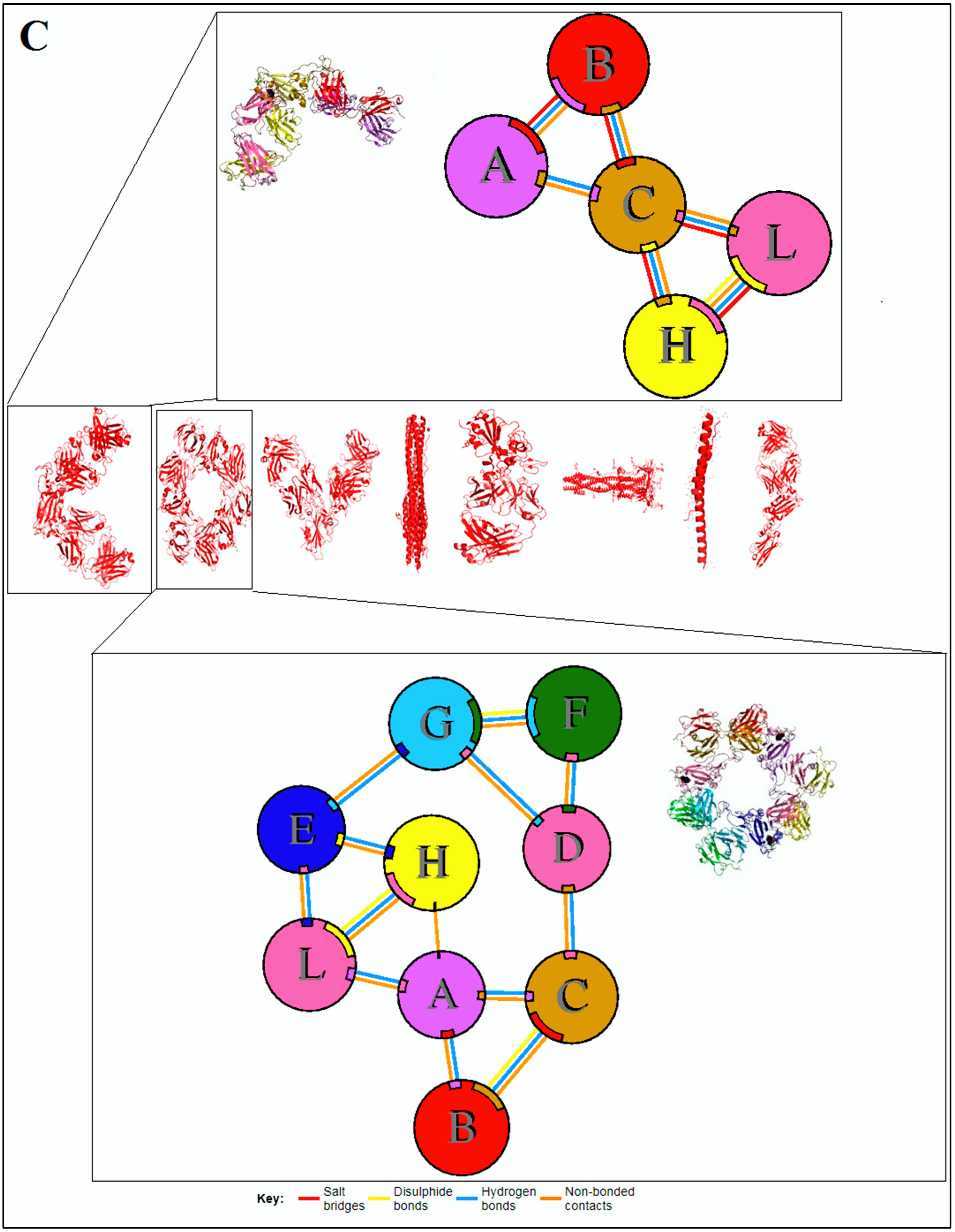 Vaccines 11 00038 g005c Vaccines 11 00038 g005c