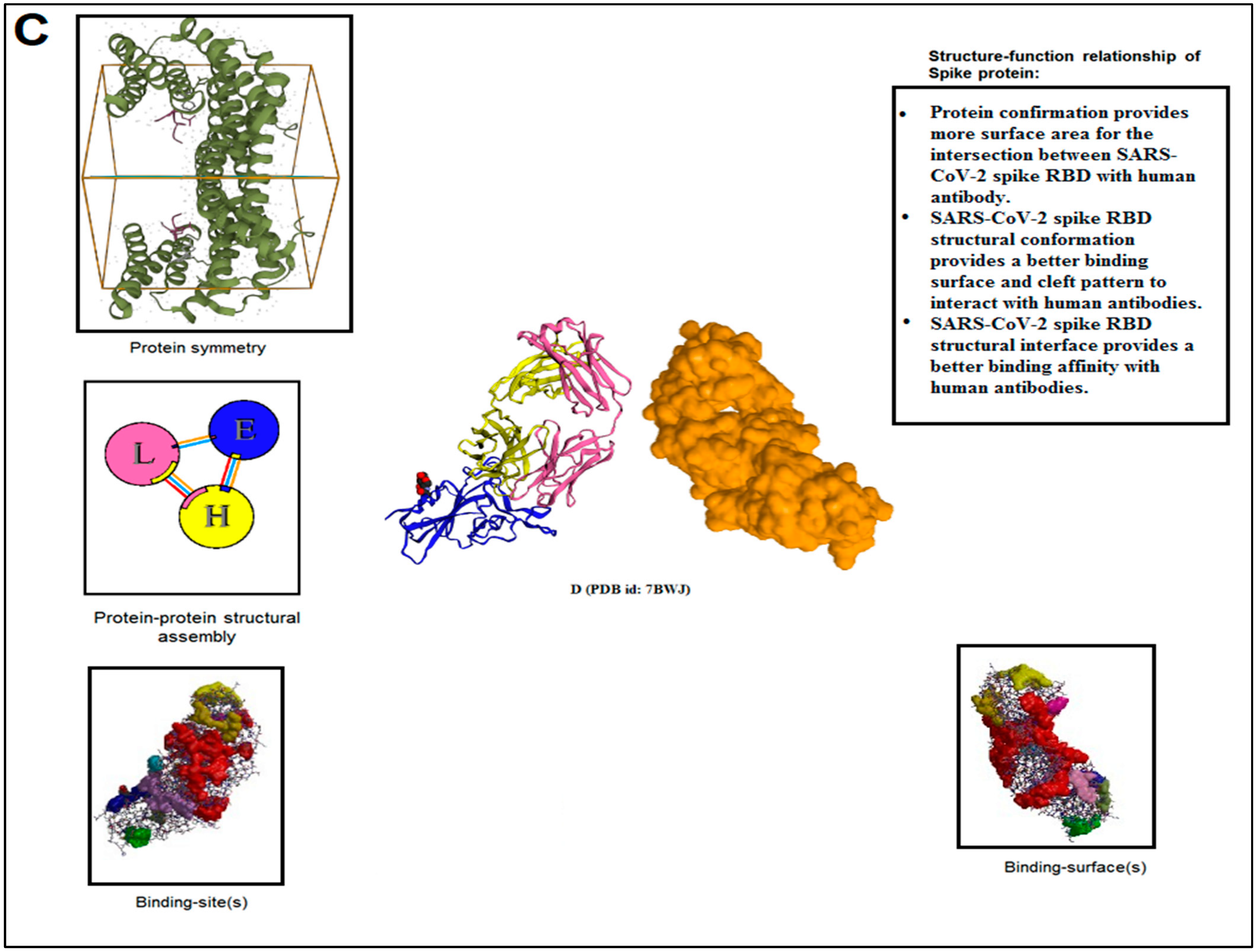 Vaccines 11 00038 g010b Vaccines 11 00038 g010b