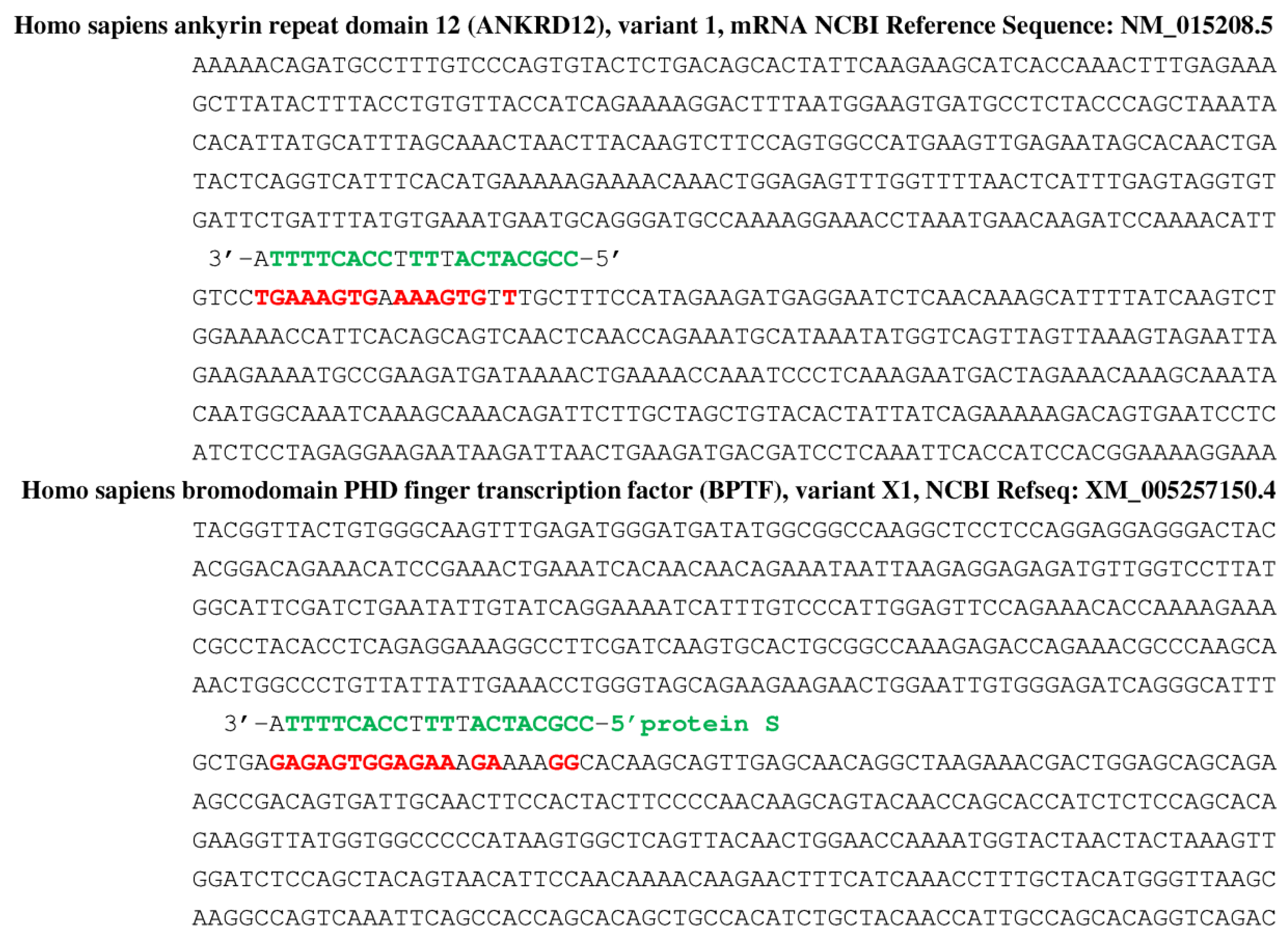 Vaccines 11 00040 g011 Vaccines 11 00040 g011