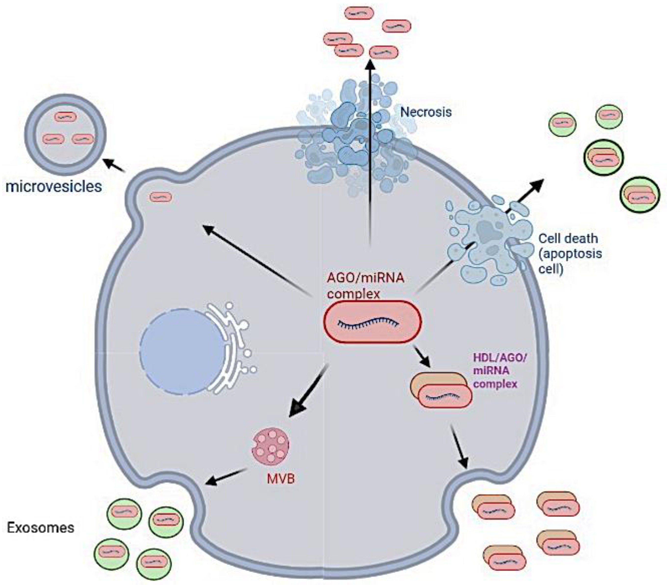 Vaccines 11 00040 g012 Vaccines 11 00040 g012