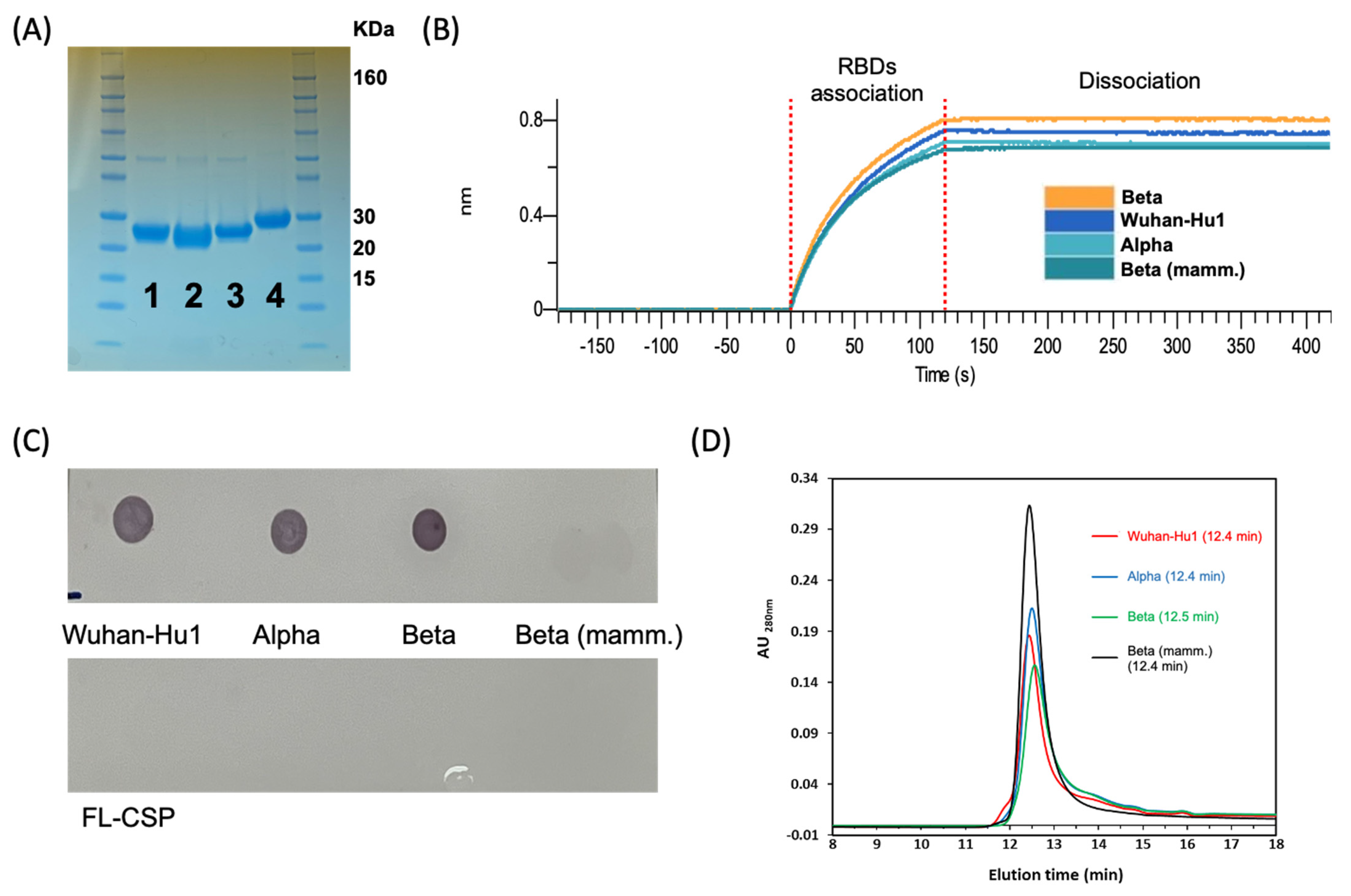 Vaccines 11 00042 g002