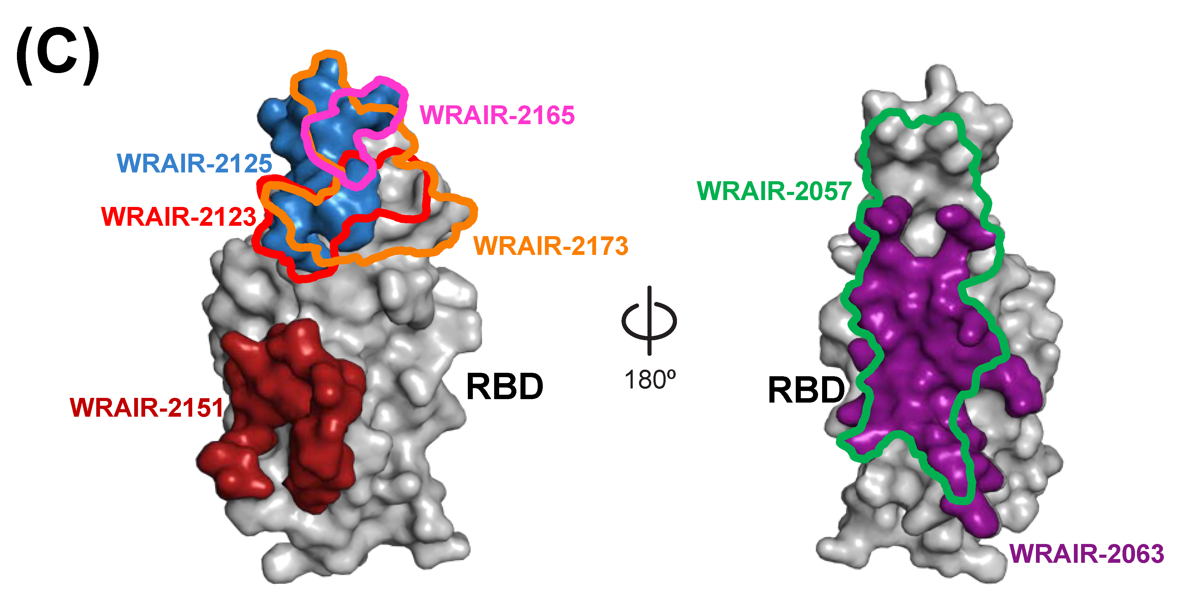 Vaccines 11 00042 g003b
