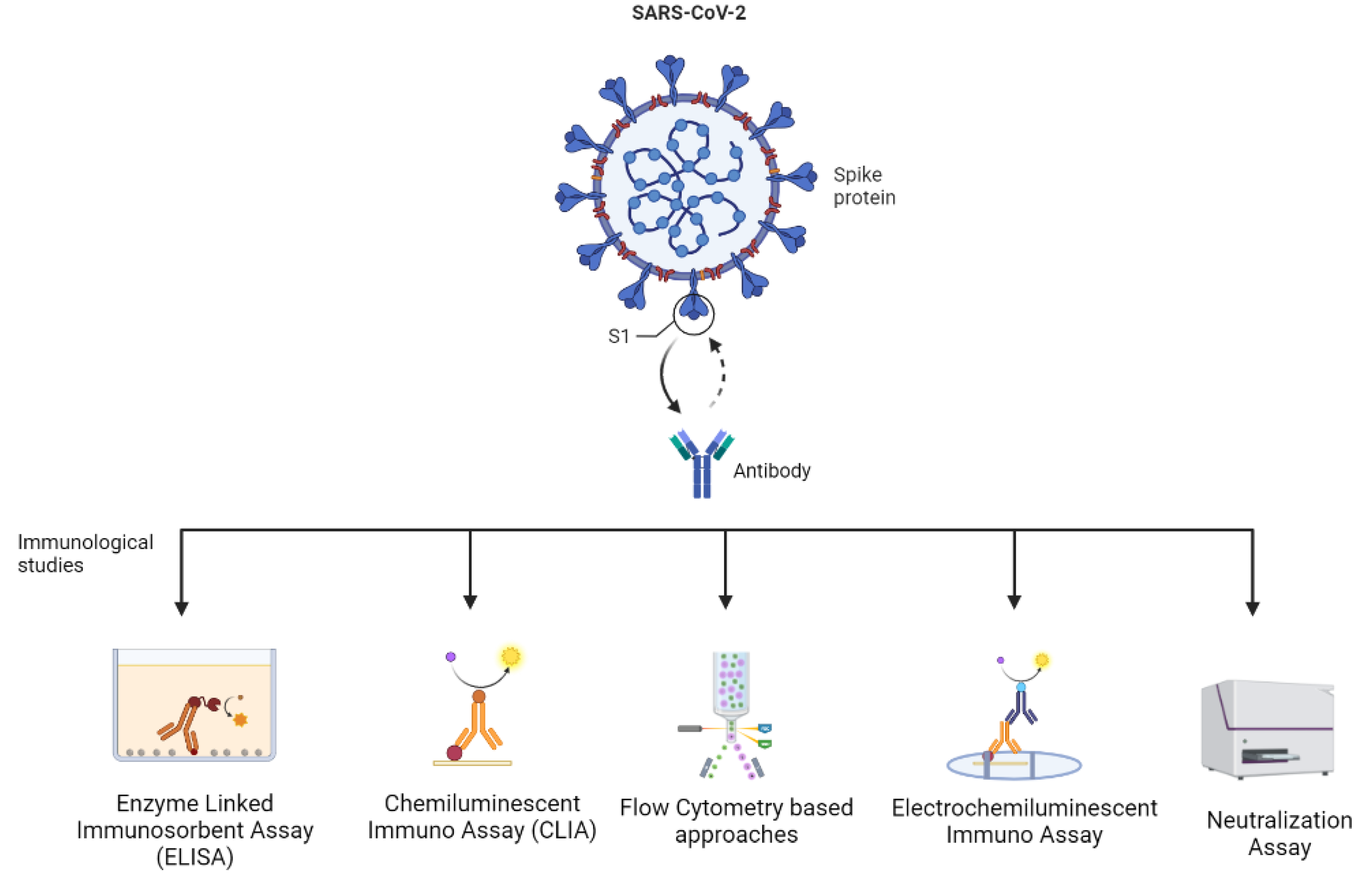 Vaccines 11 00045 g002 Vaccines 11 00045 g002