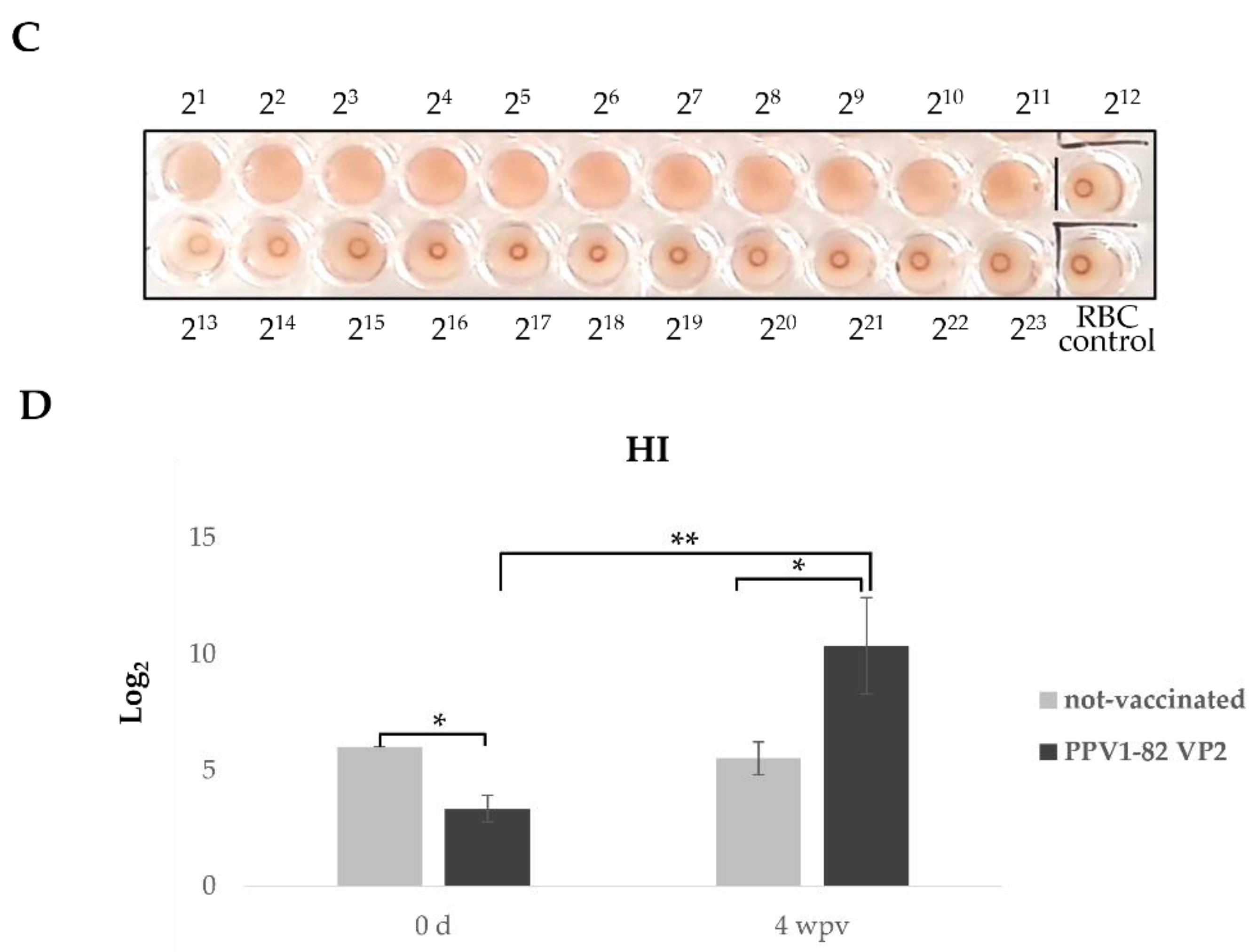 Vaccines 11 00054 g002b Vaccines 11 00054 g002b