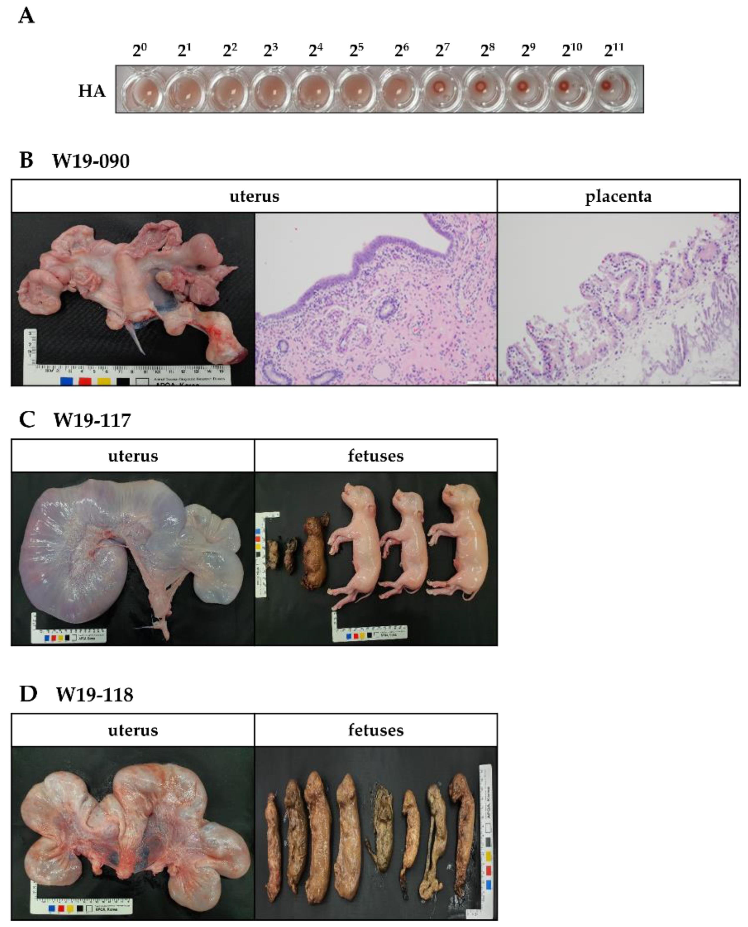 Vaccines 11 00054 g003 Vaccines 11 00054 g003