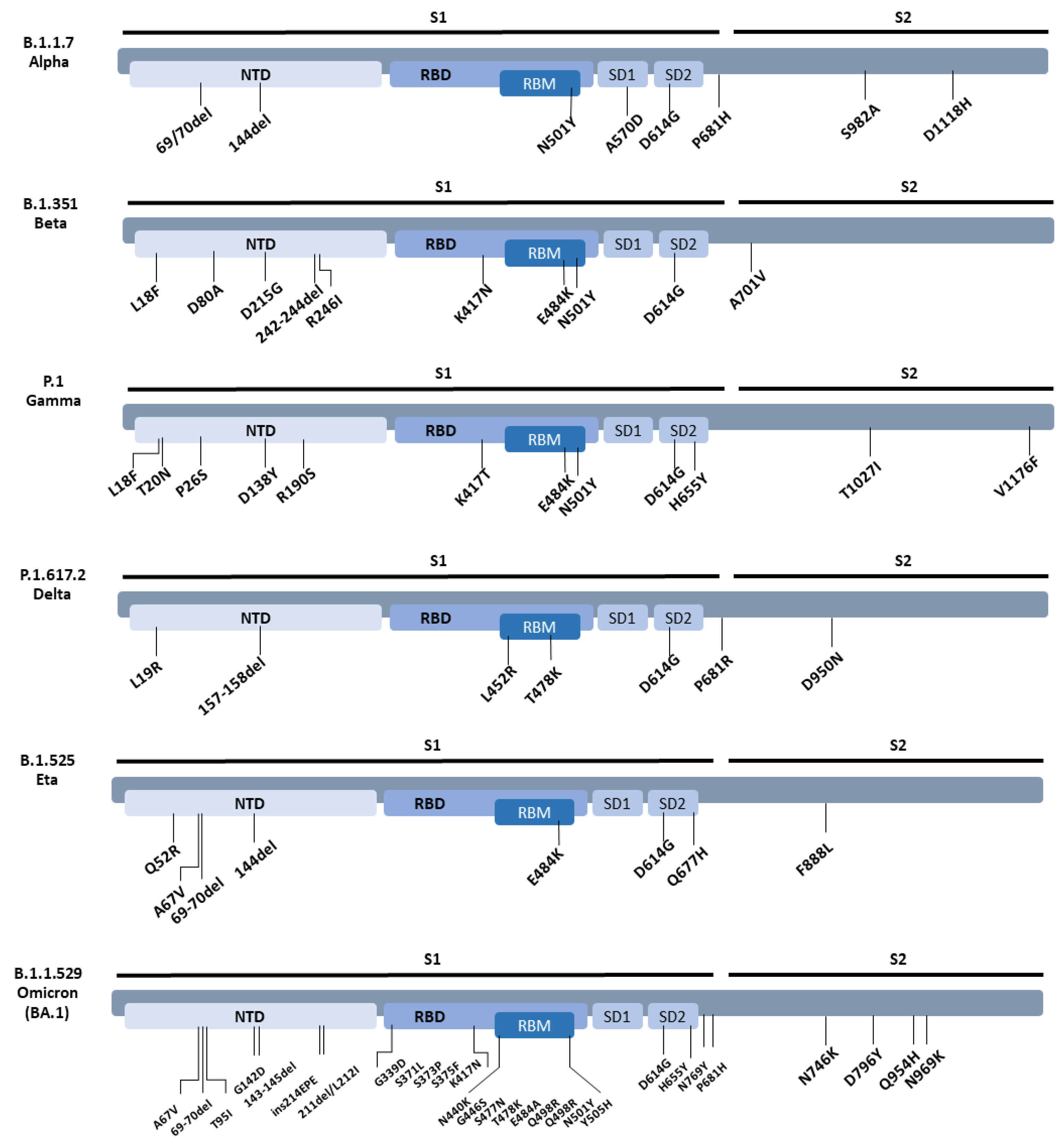 Vaccines 11 00058 g002 Vaccines 11 00058 g002