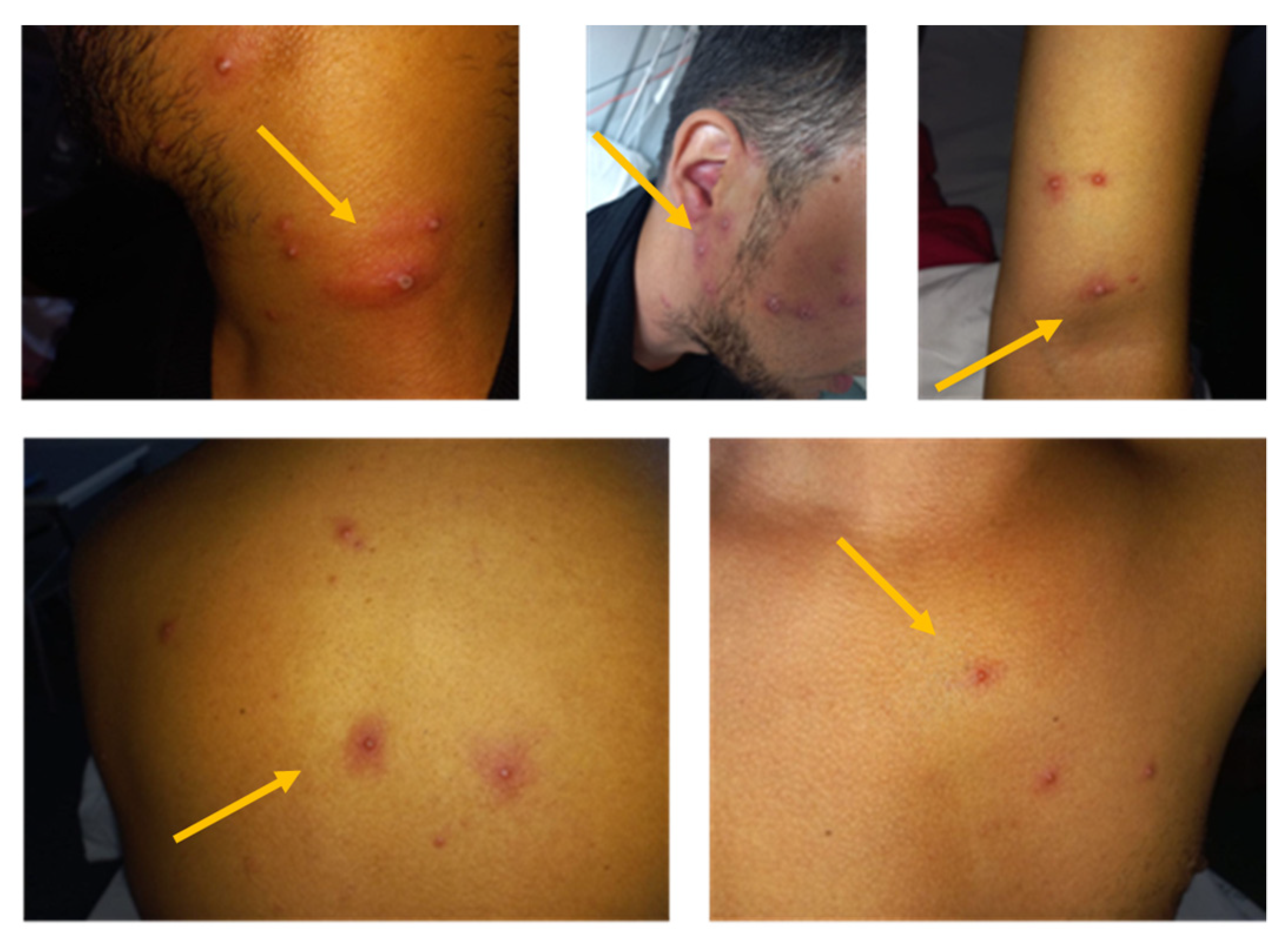 Vaccines 11 00063 g001