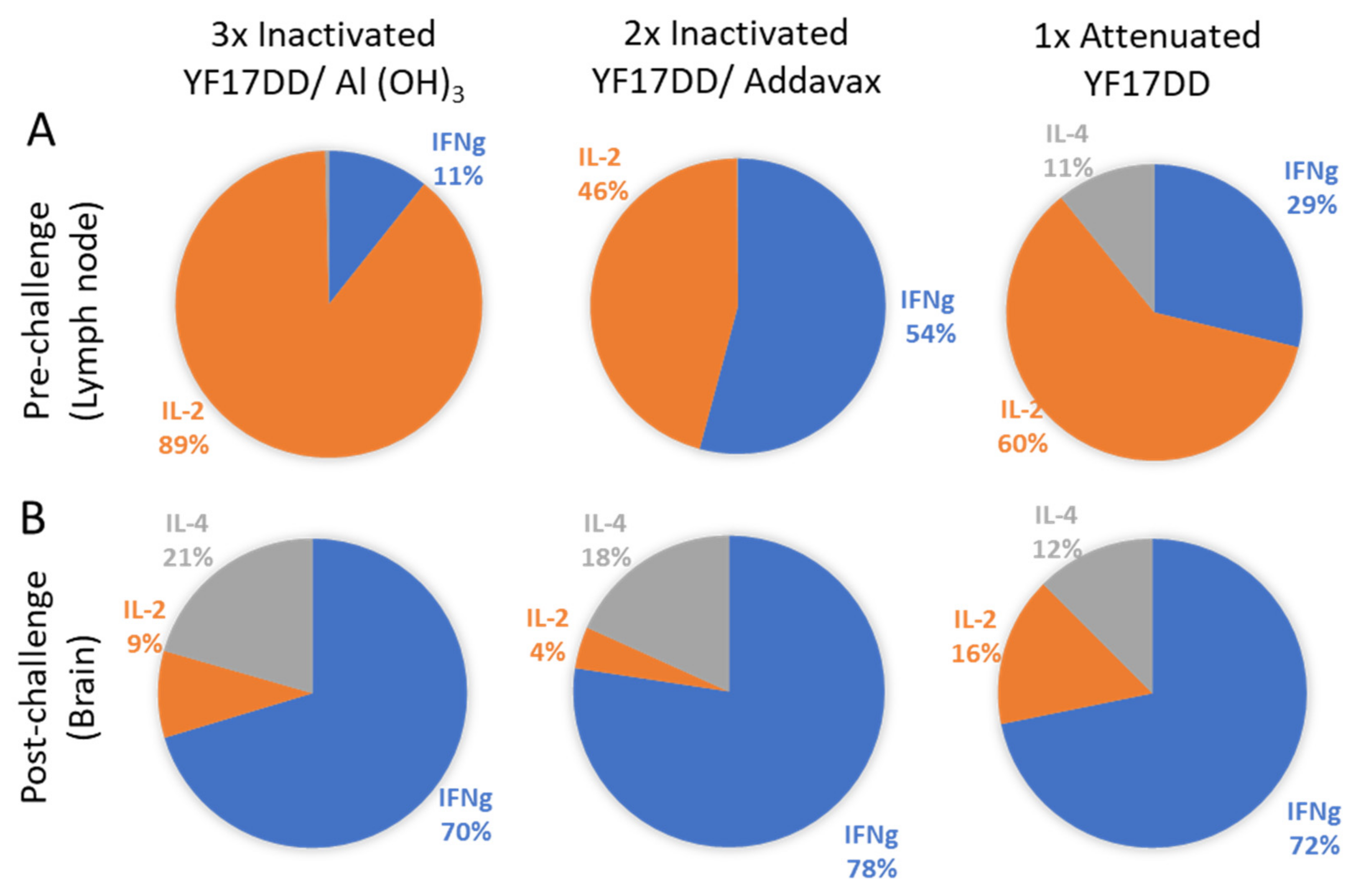 Vaccines 11 00073 g003 Vaccines 11 00073 g003