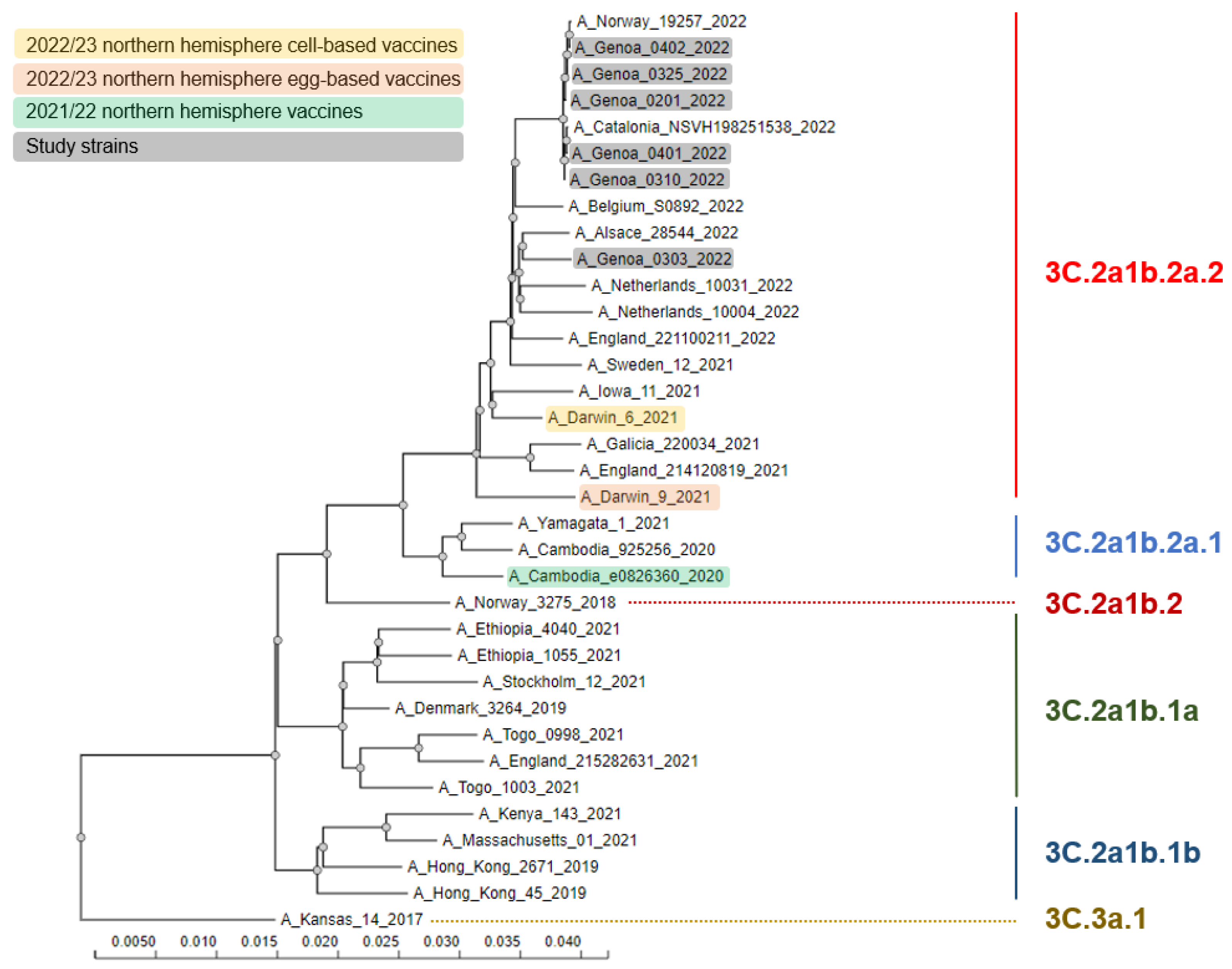 Vaccines 11 00083 g001