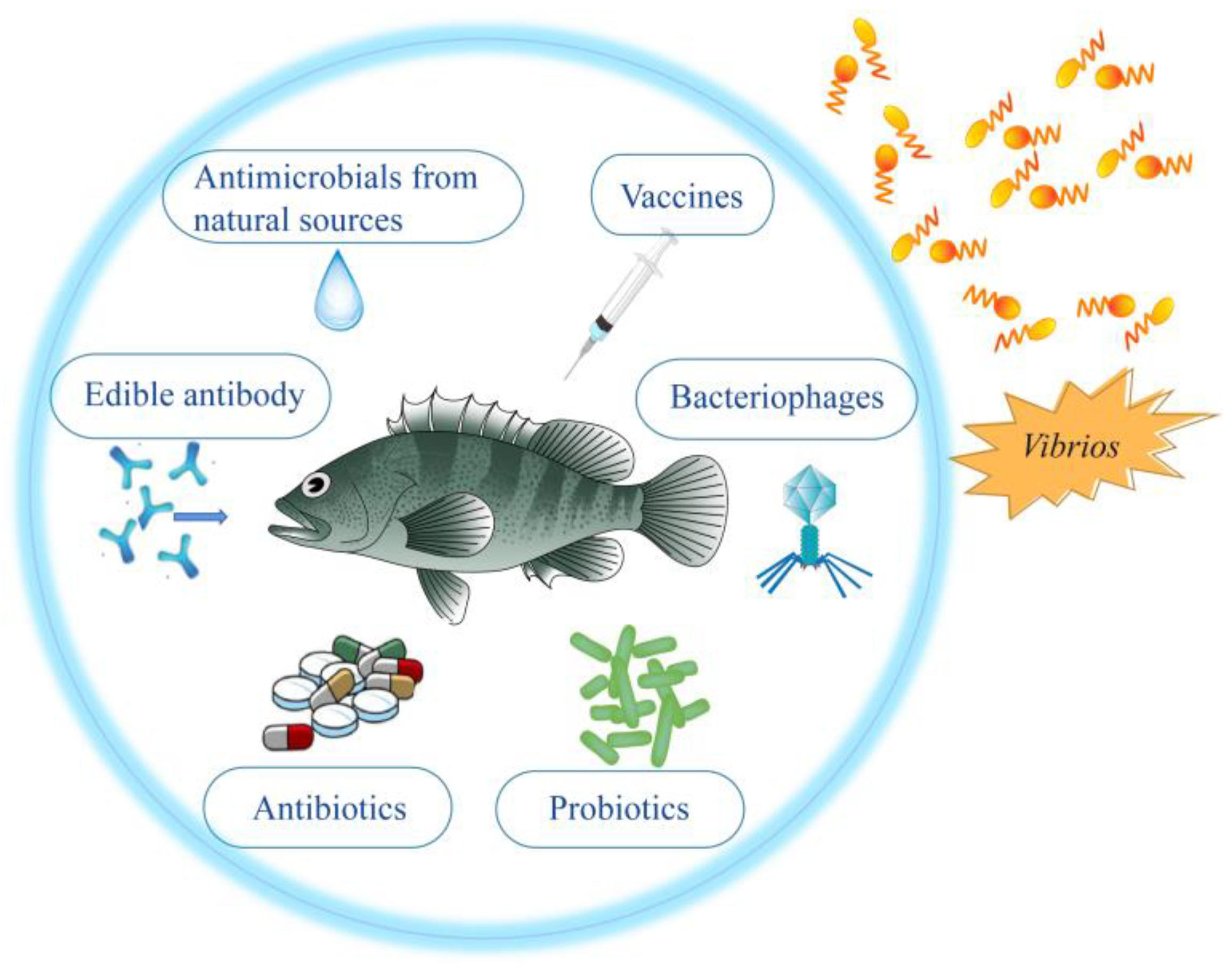 Vaccines Free FullText Strategies for Prevention and Control of