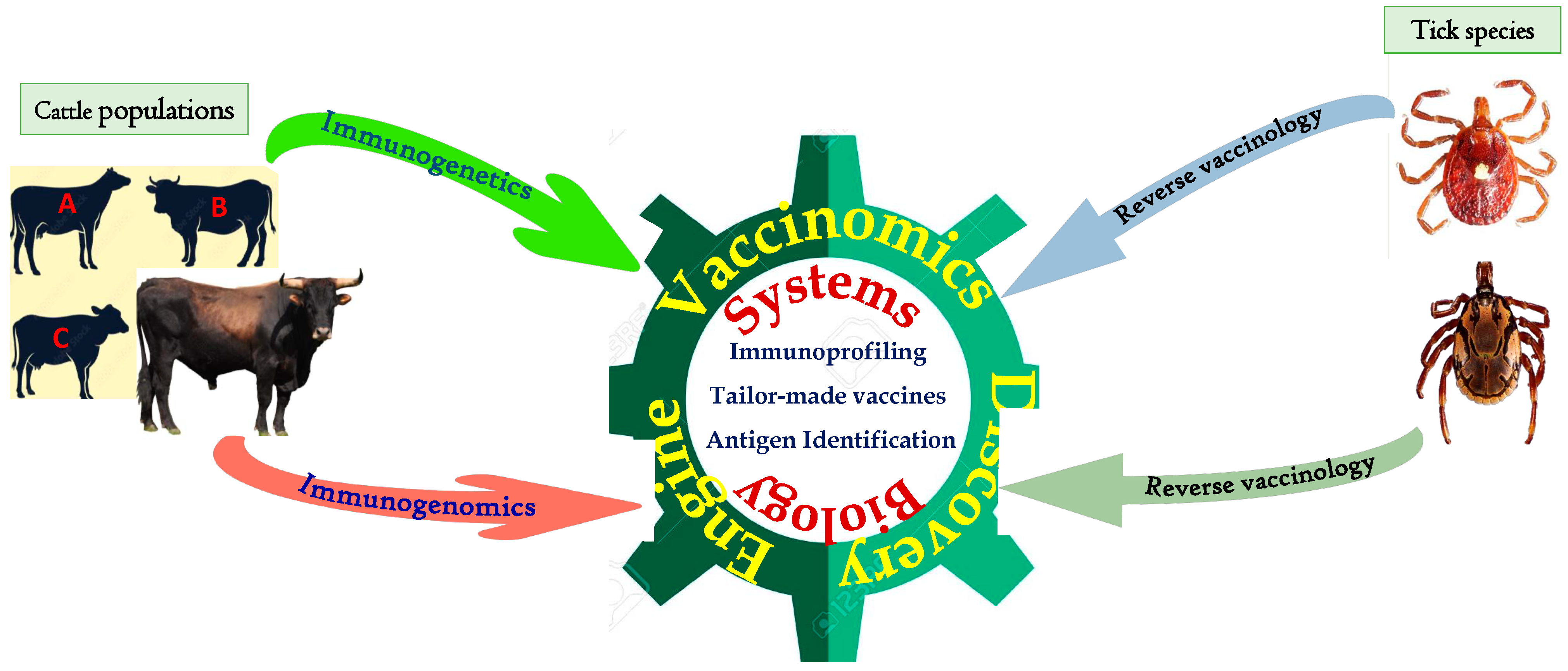Vaccines 11 00099 g001
