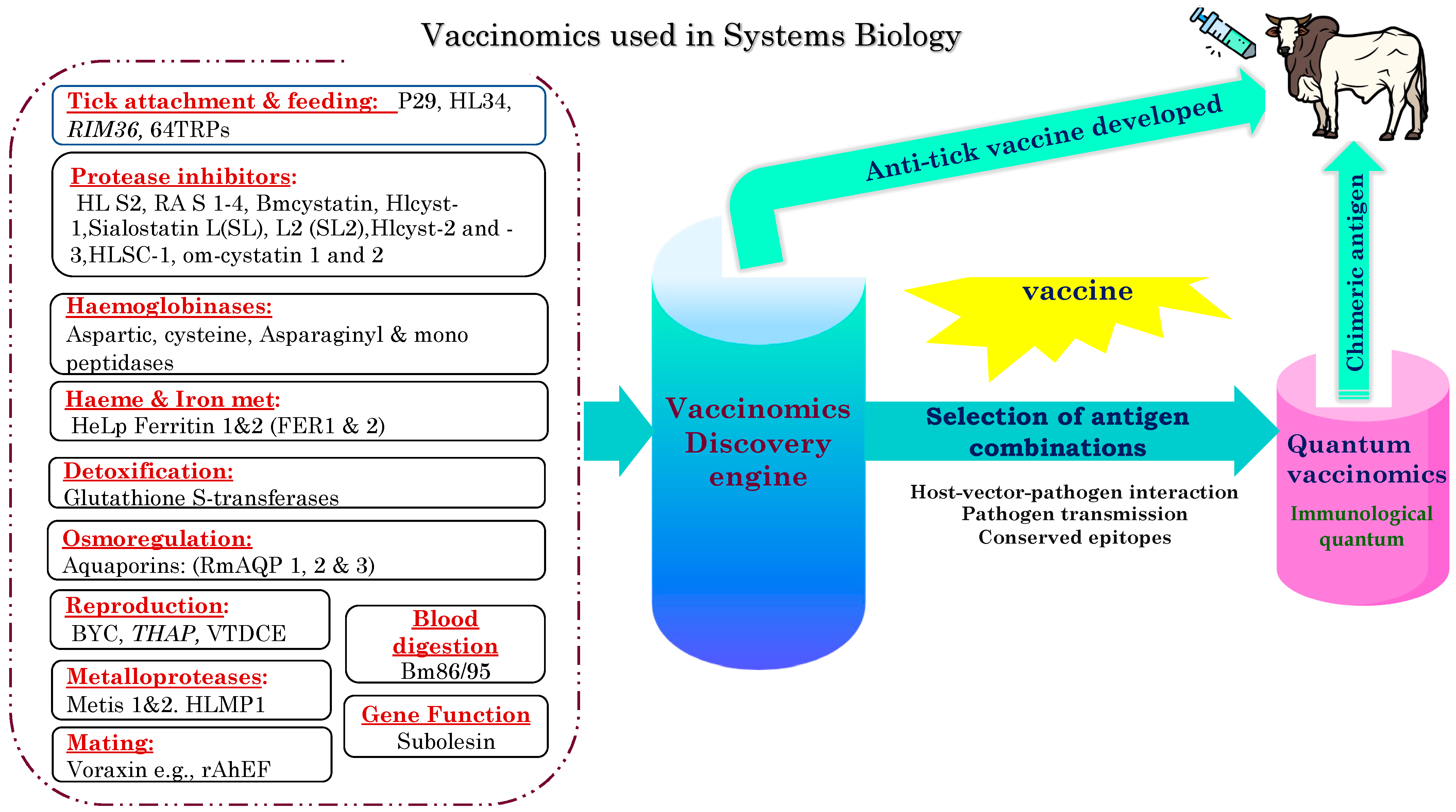 Vaccines 11 00099 g002
