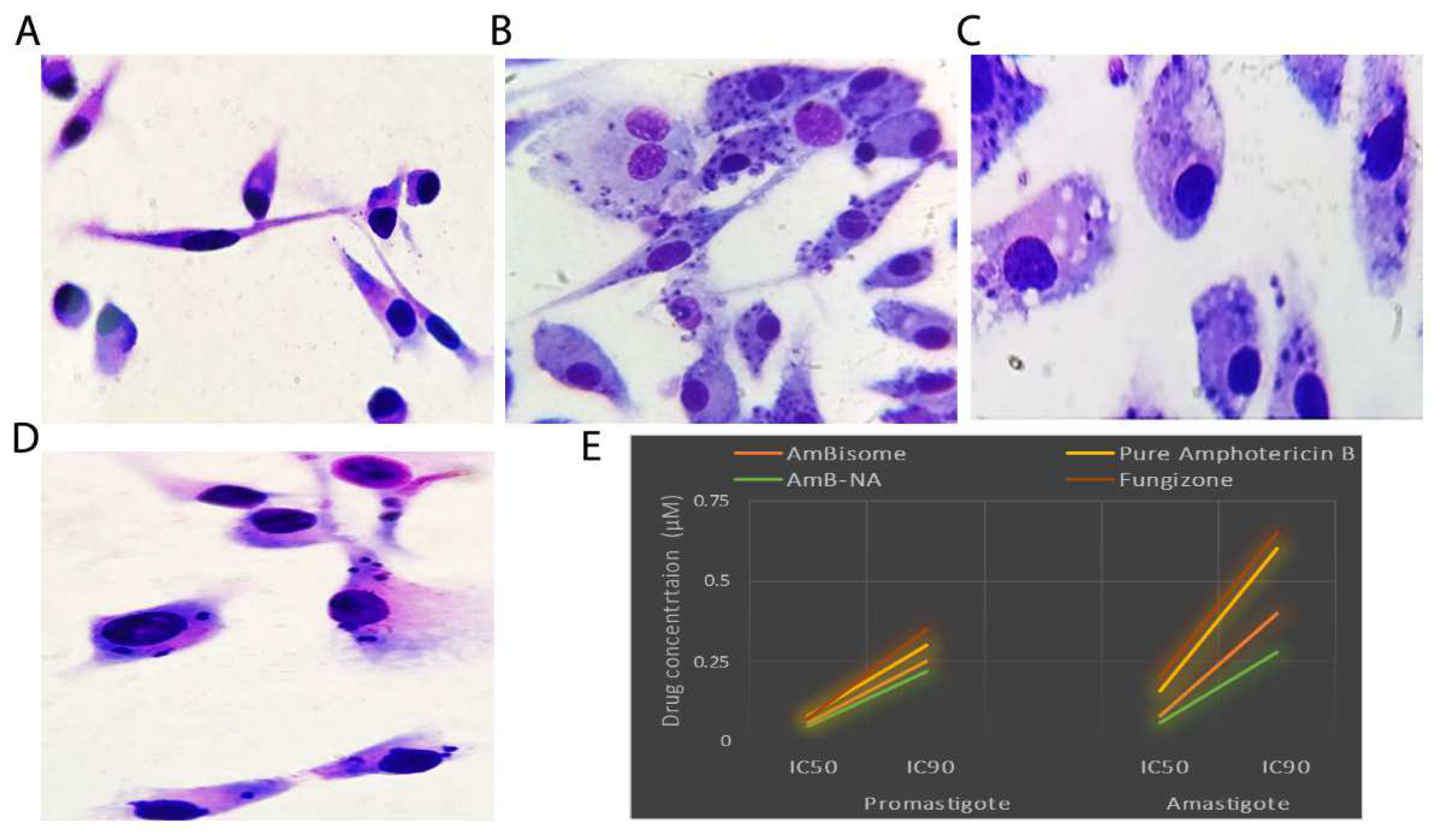 Vaccines 11 00100 g004 Vaccines 11 00100 g004