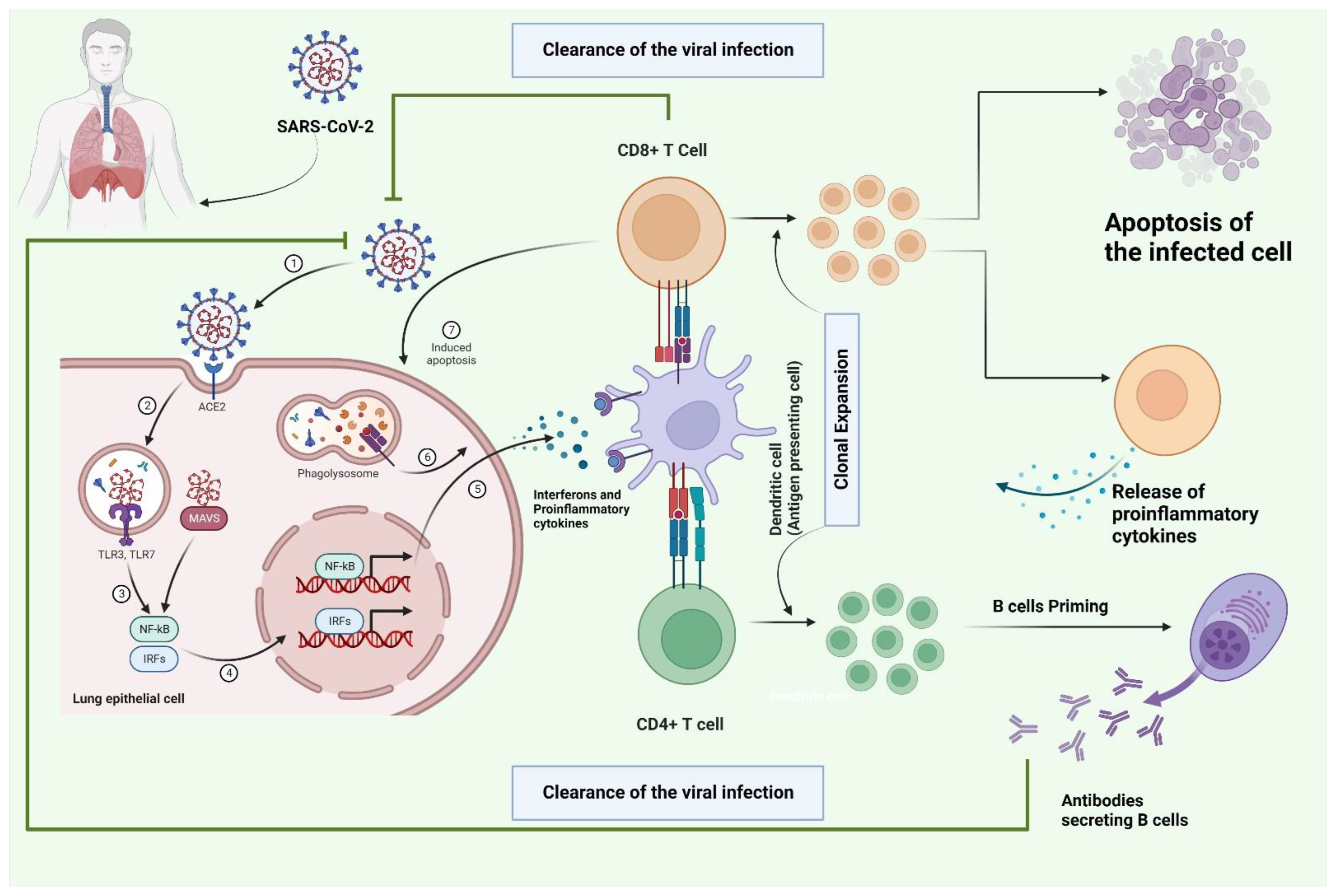 Vaccines 11 00101 g001