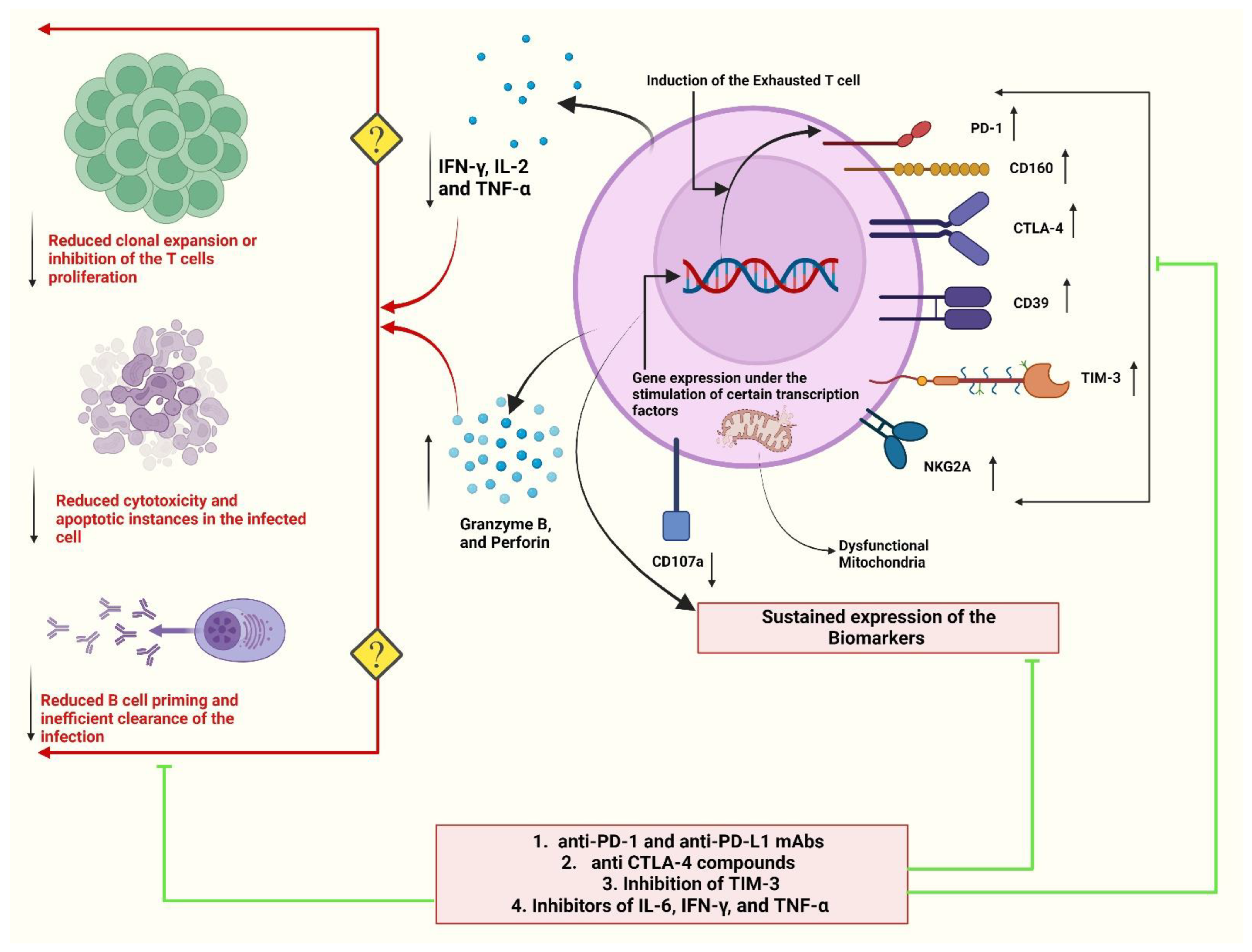 Vaccines 11 00101 g003