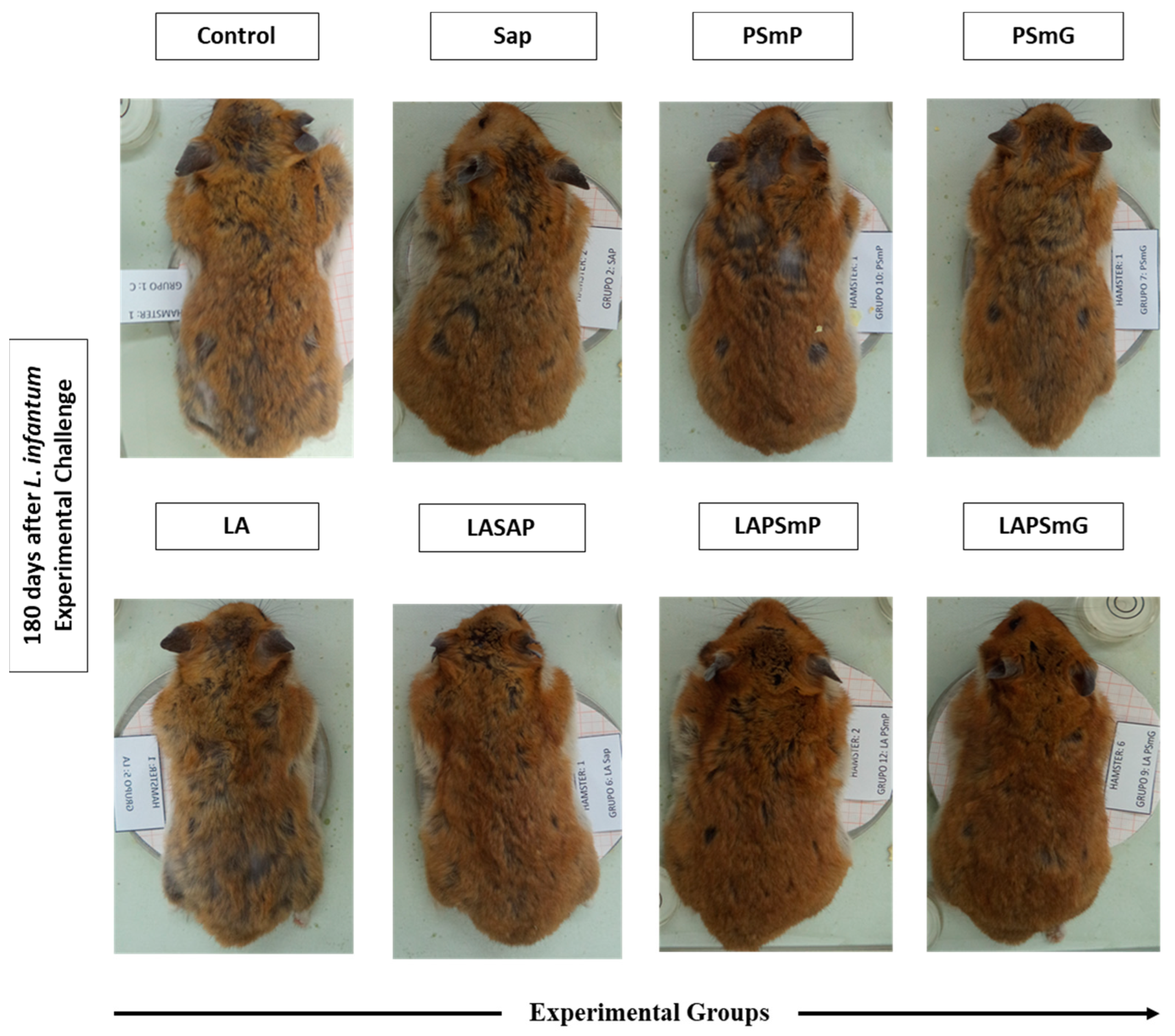 Vaccines 11 00111 g001 Vaccines 11 00111 g001