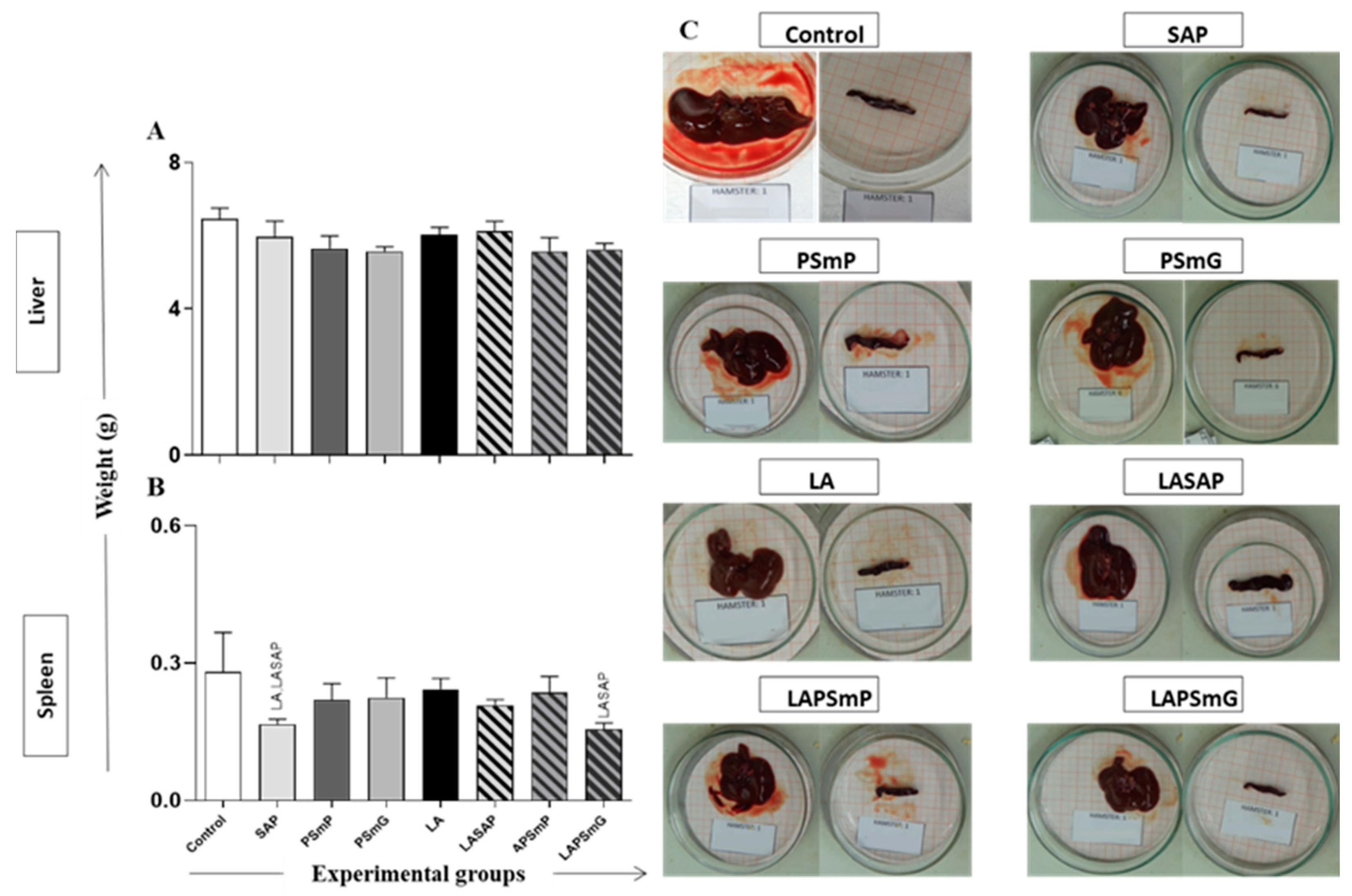 Vaccines 11 00111 g003 Vaccines 11 00111 g003